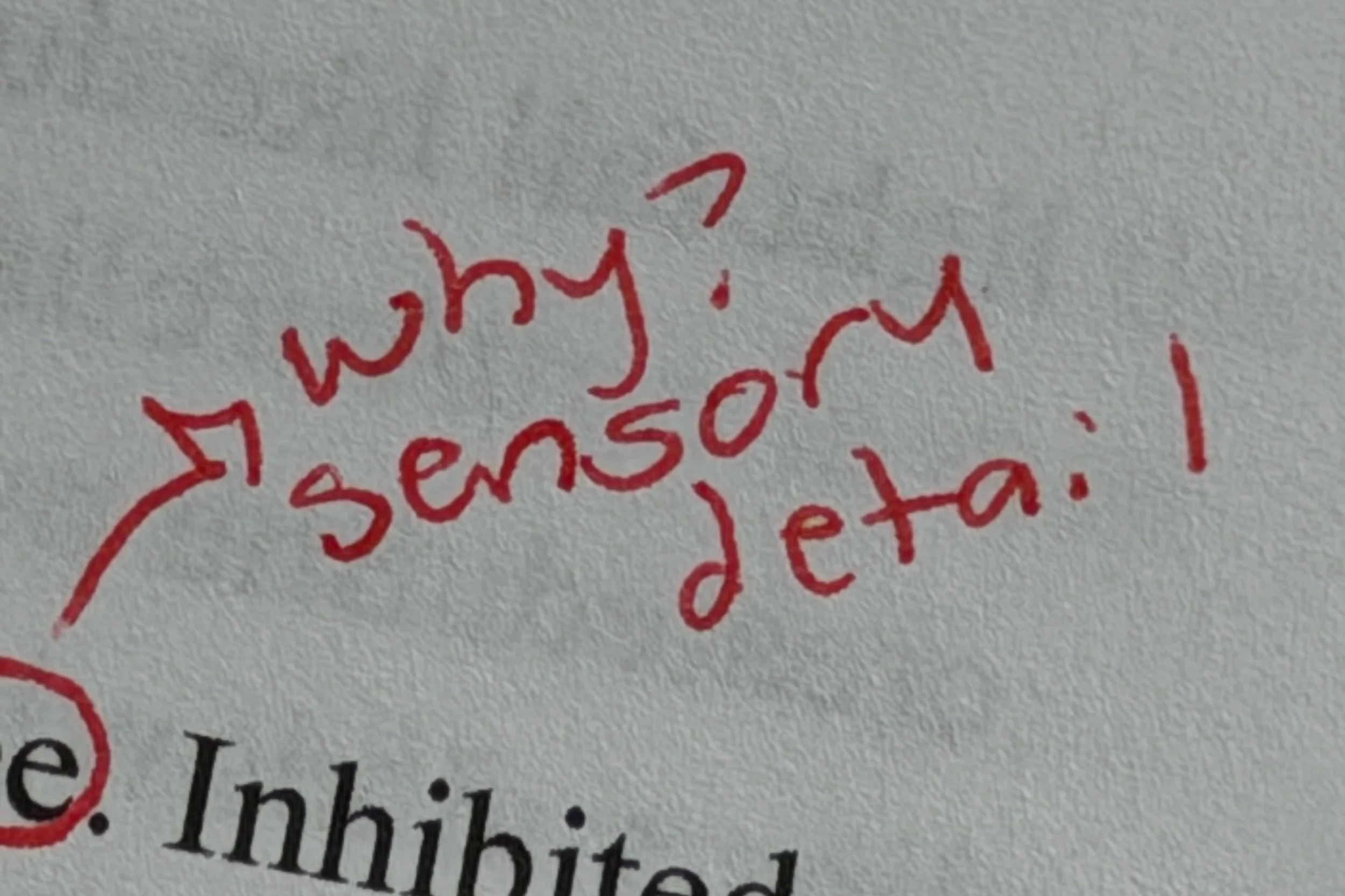 a close up of a fantasy author's book with the words "why? sensory detail" written in red pen as an edit.