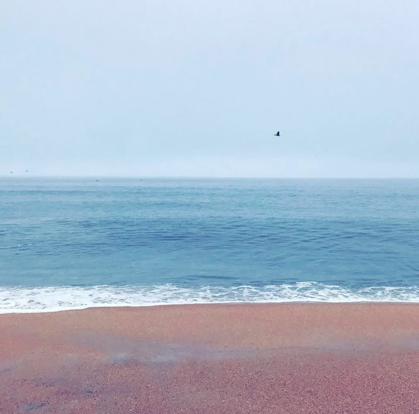 Flagler Beach in Florida