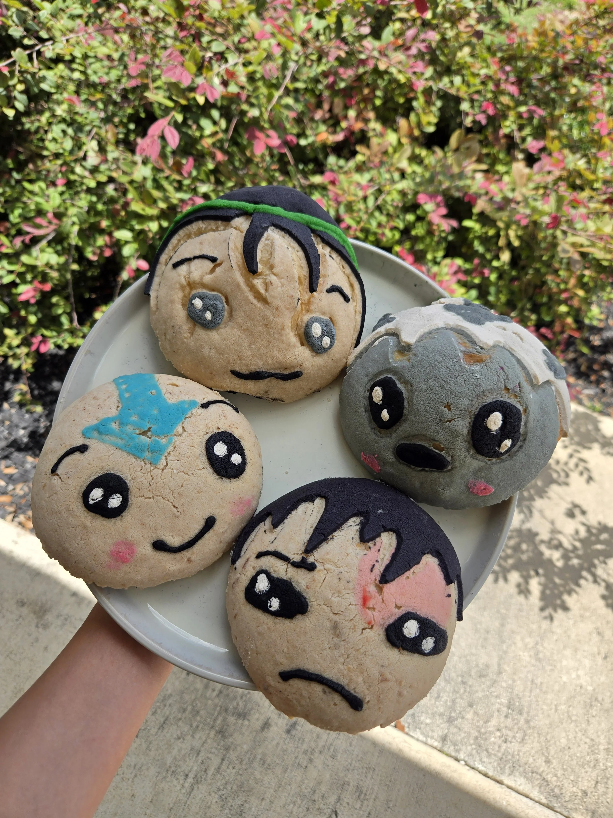 Avatar the Last Airbender conchas