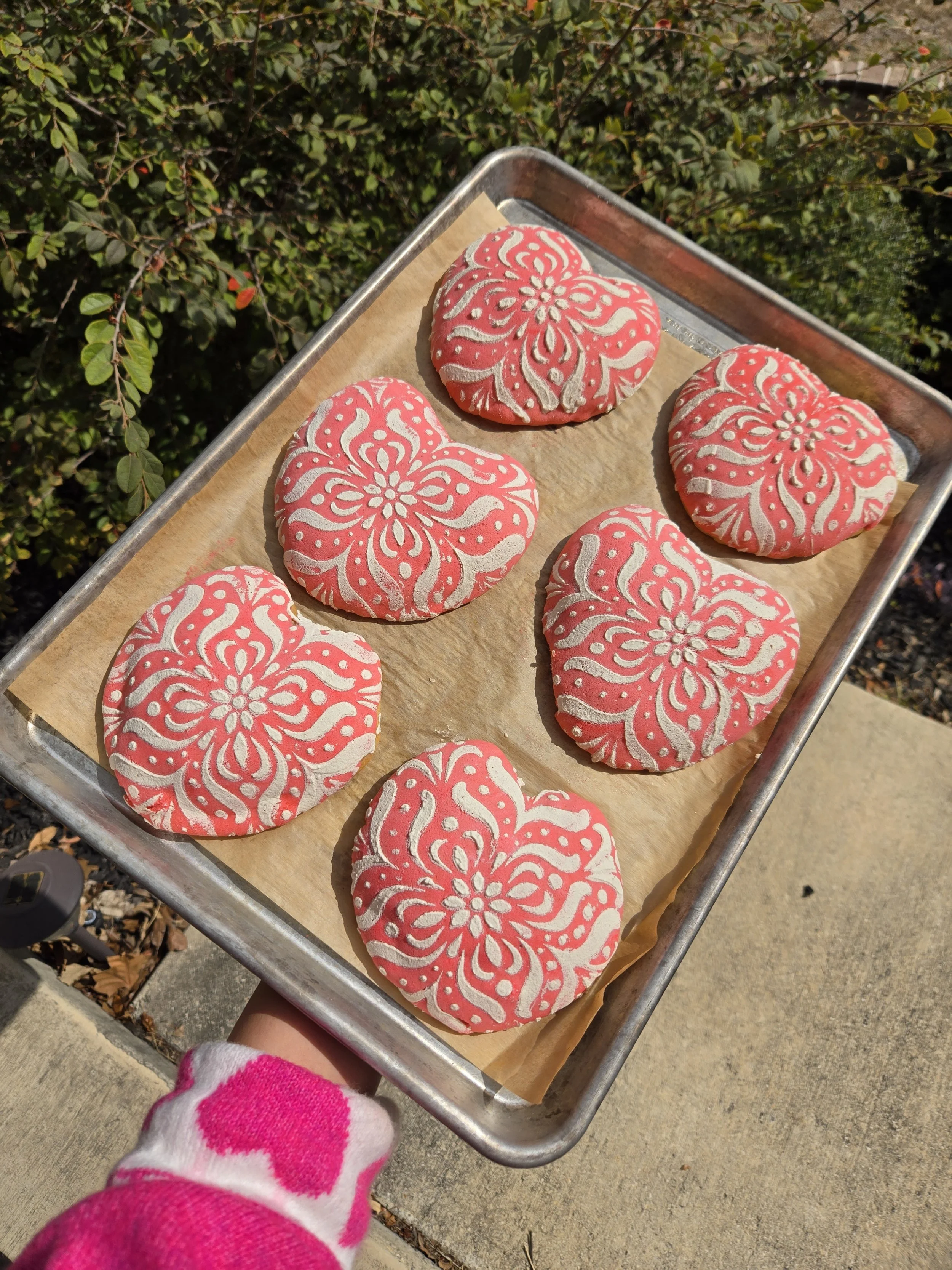 Heart conchas