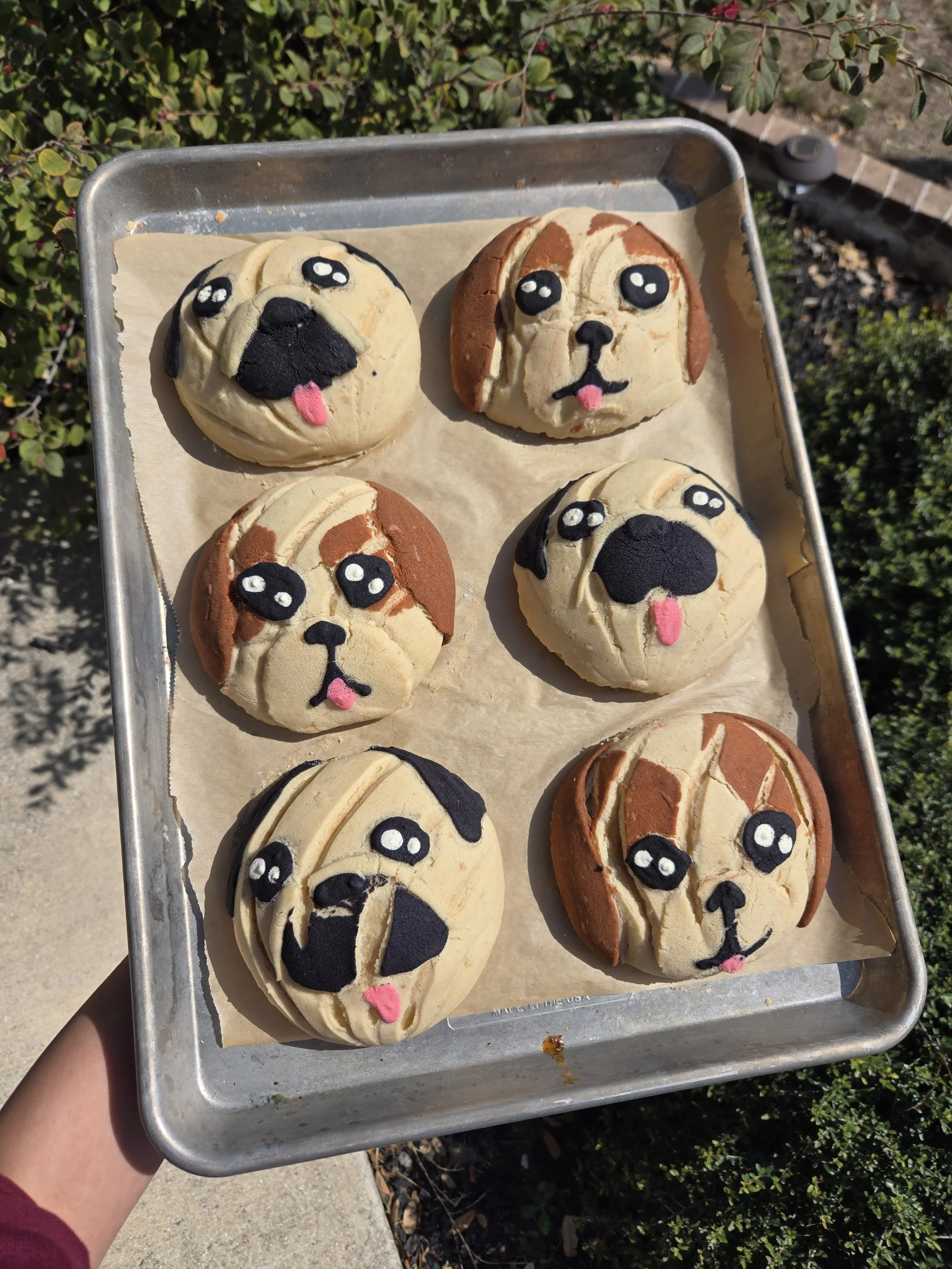 Puppy dog conchas