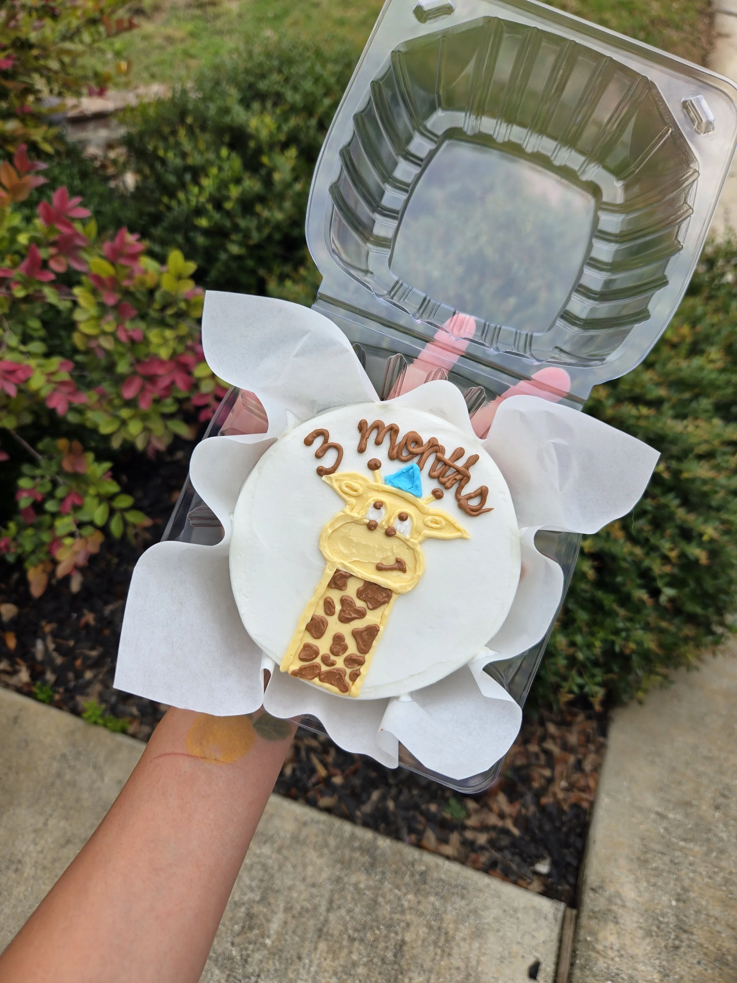 Giraffe cake