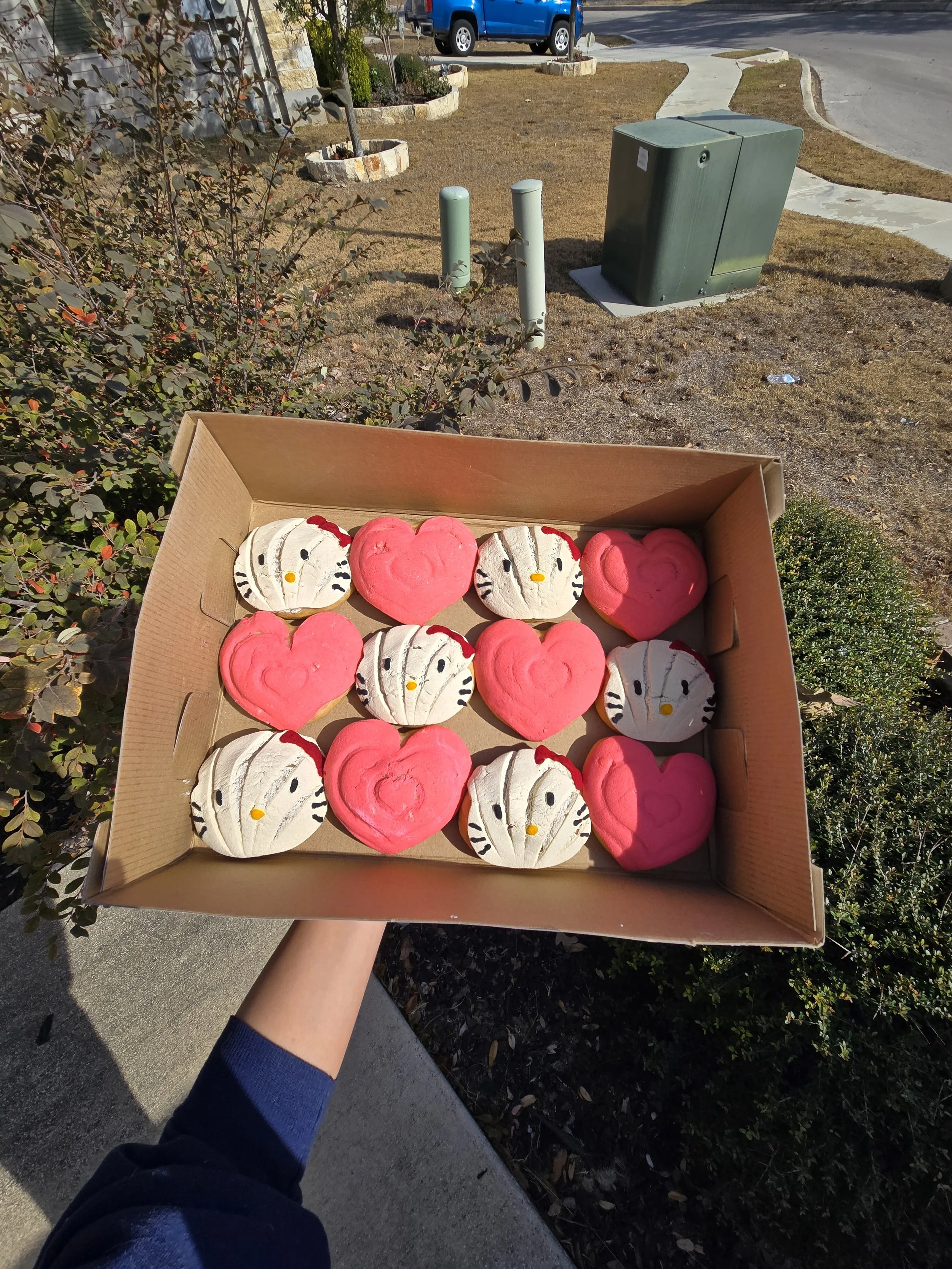 Hello Kitty conchas