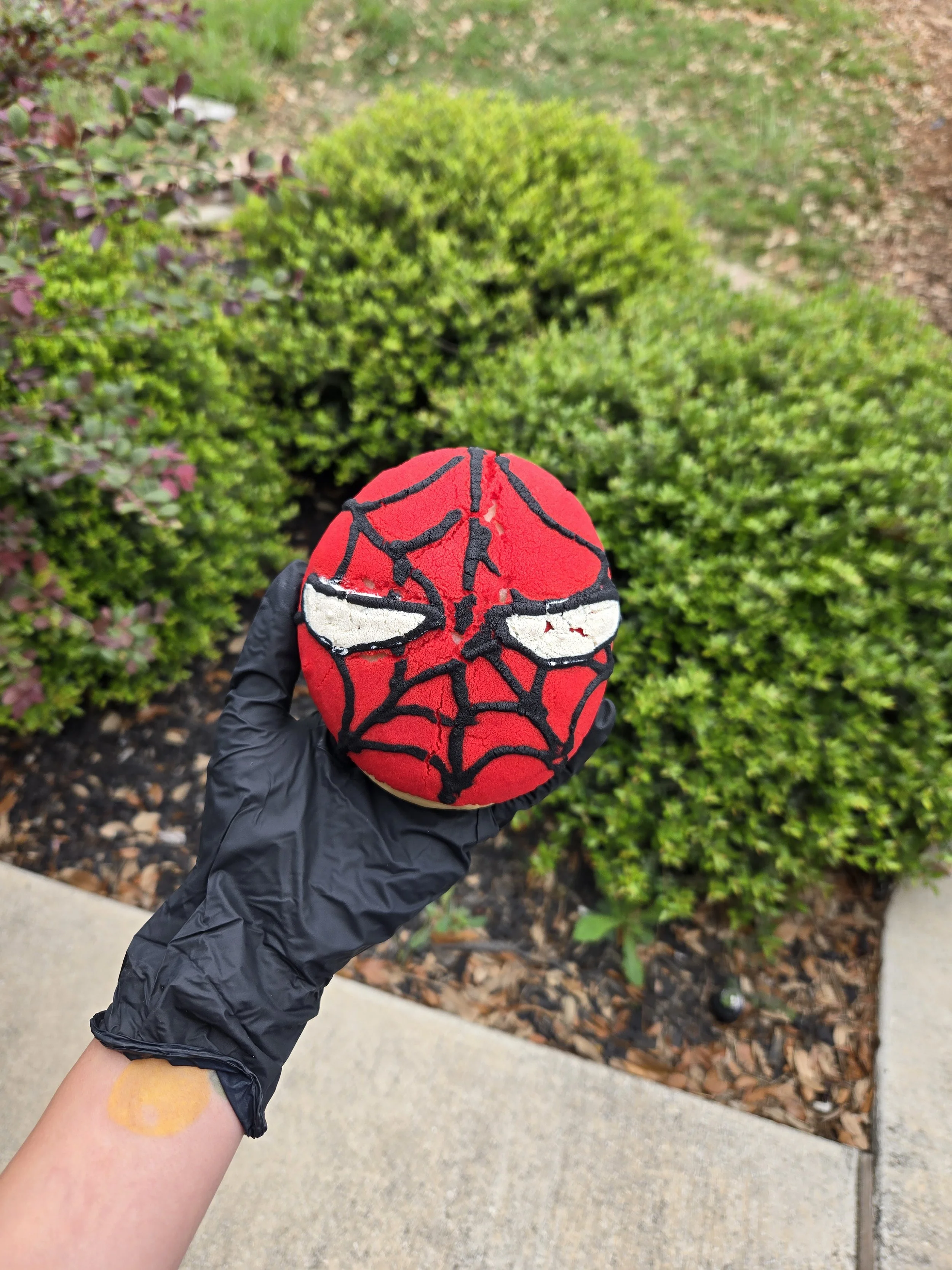 Spiderman conchas