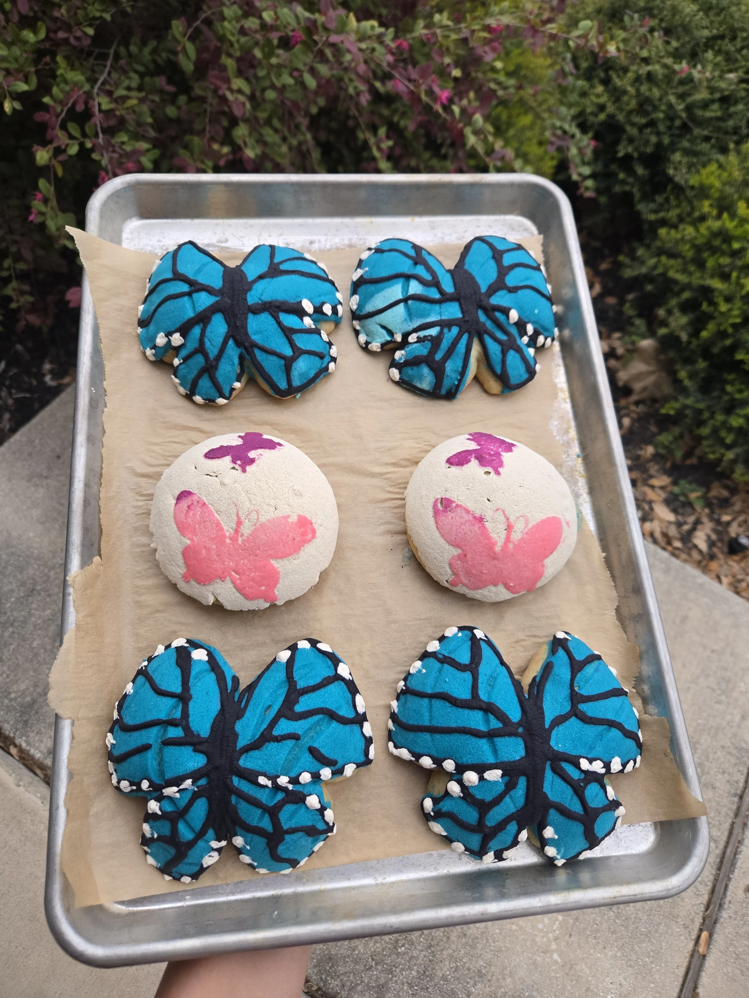 Butterfly conchas