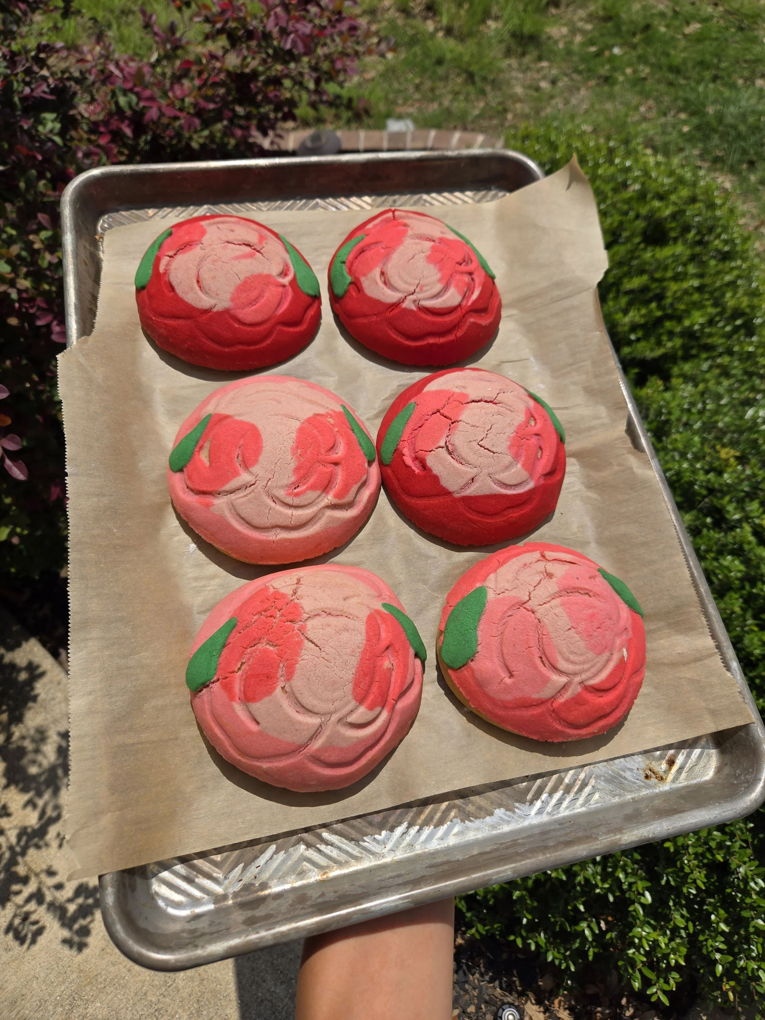 Flower conchas