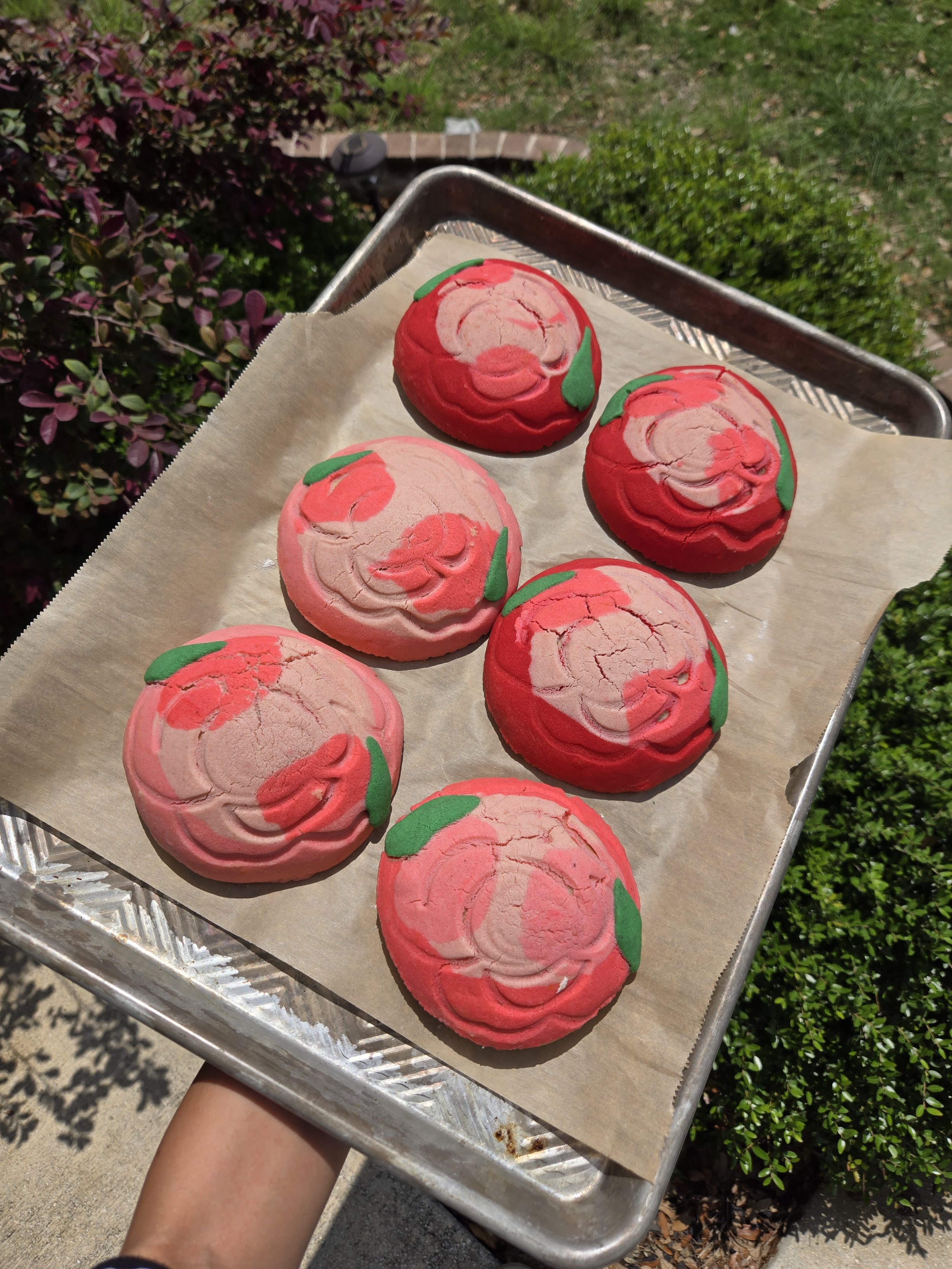 Flower conchas
