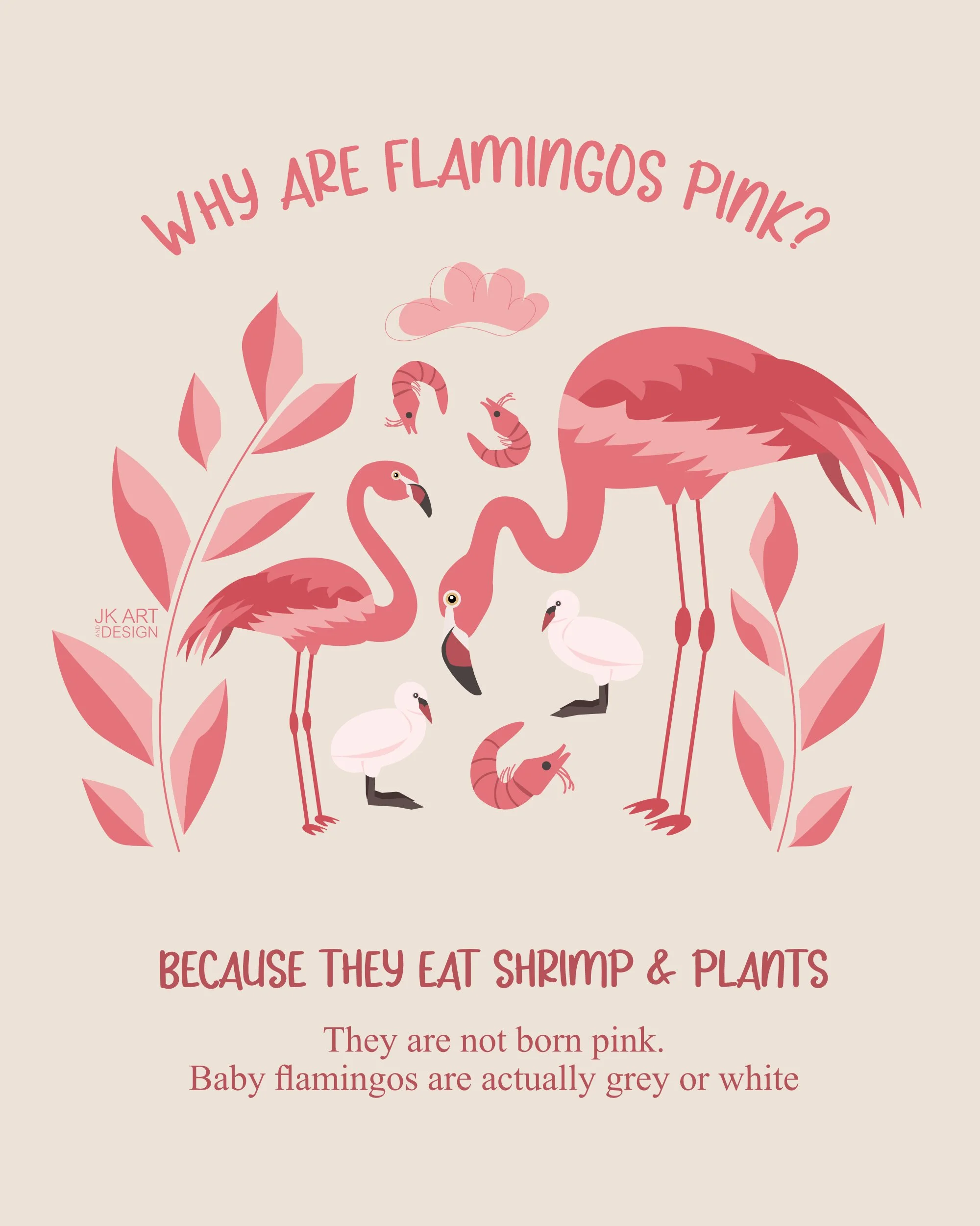 AnimalQuestions_flamingo_poster.jpg