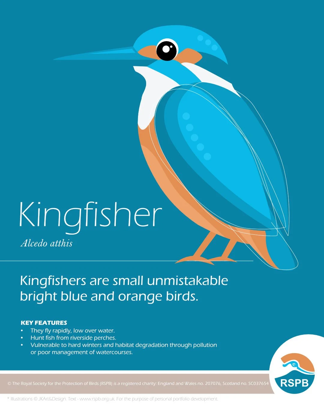 RSPB_leaflets_kingfisher.jpg