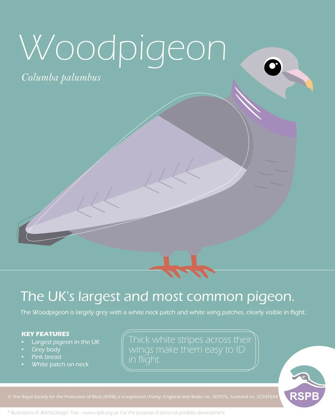 RSPB_leaflets_woodpigeon.jpg