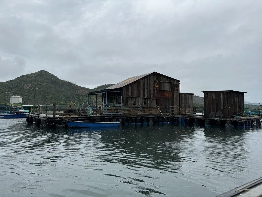 877492DE-59D2-41E3-A189-754B1C146322_1_105_c.jpeg