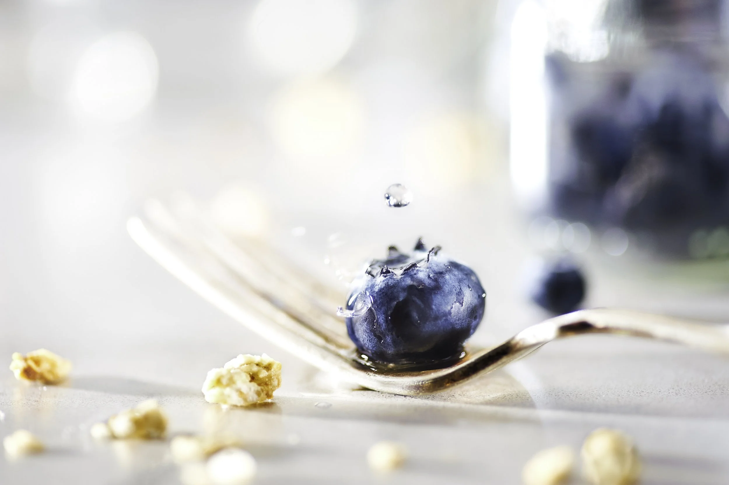 Blueberries-dew-drop.jpg