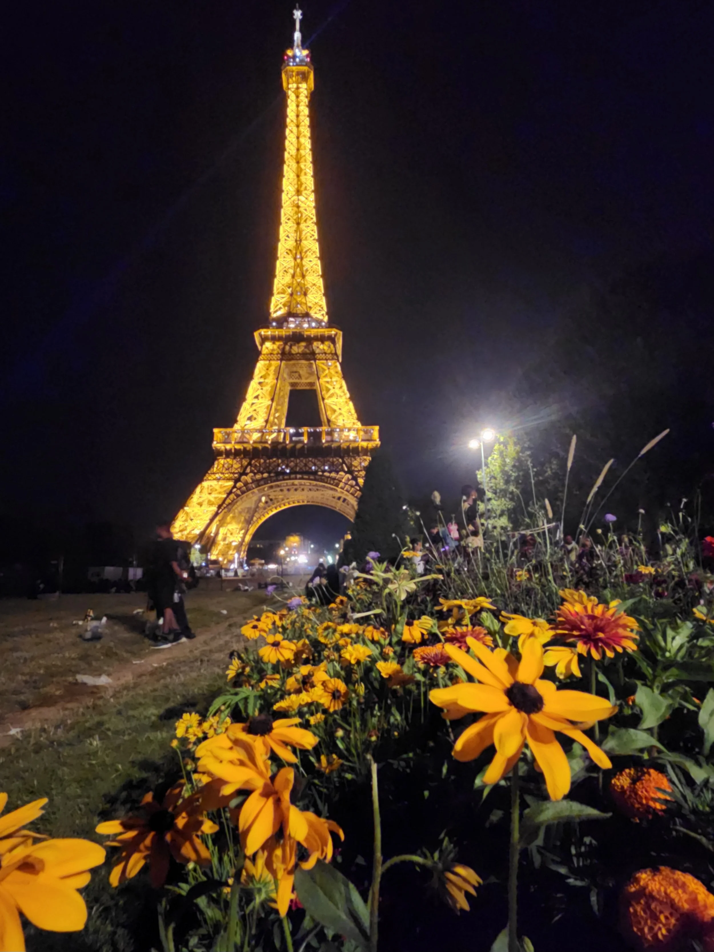 Nighttime view of the Eiffel Tower illuminated in yellow lights, with flowers in the foreground and people walking nearby.