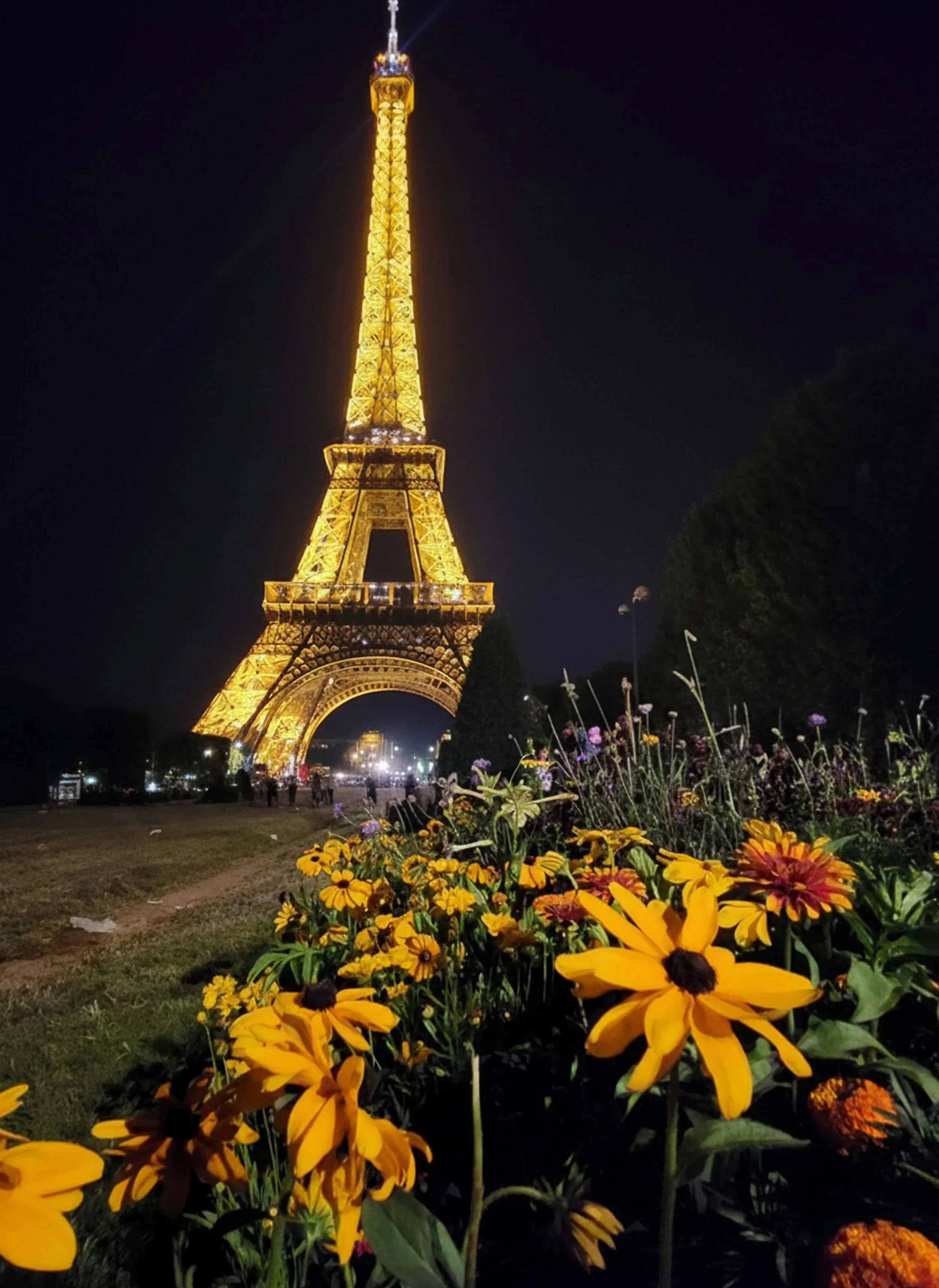 5x7 Matted Print - Eiffel Tower with Yellow Flowers