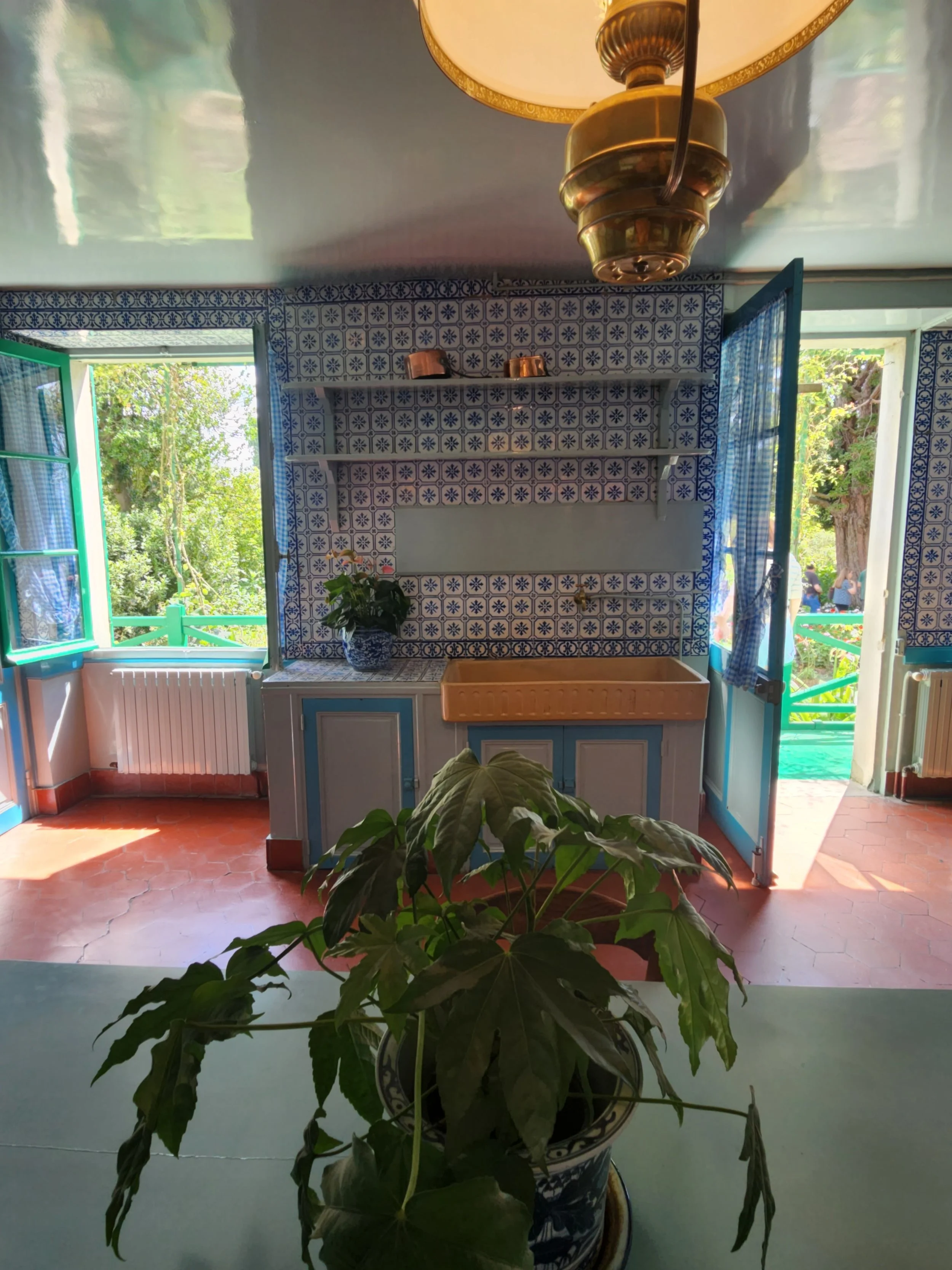 The image depicts an interior view of a room with open windows letting in natural light. There is a large potted plant in the foreground, a wooden countertop or drying rack, and blue patterned tiled walls. Outside the windows, greenery and trees are visible.