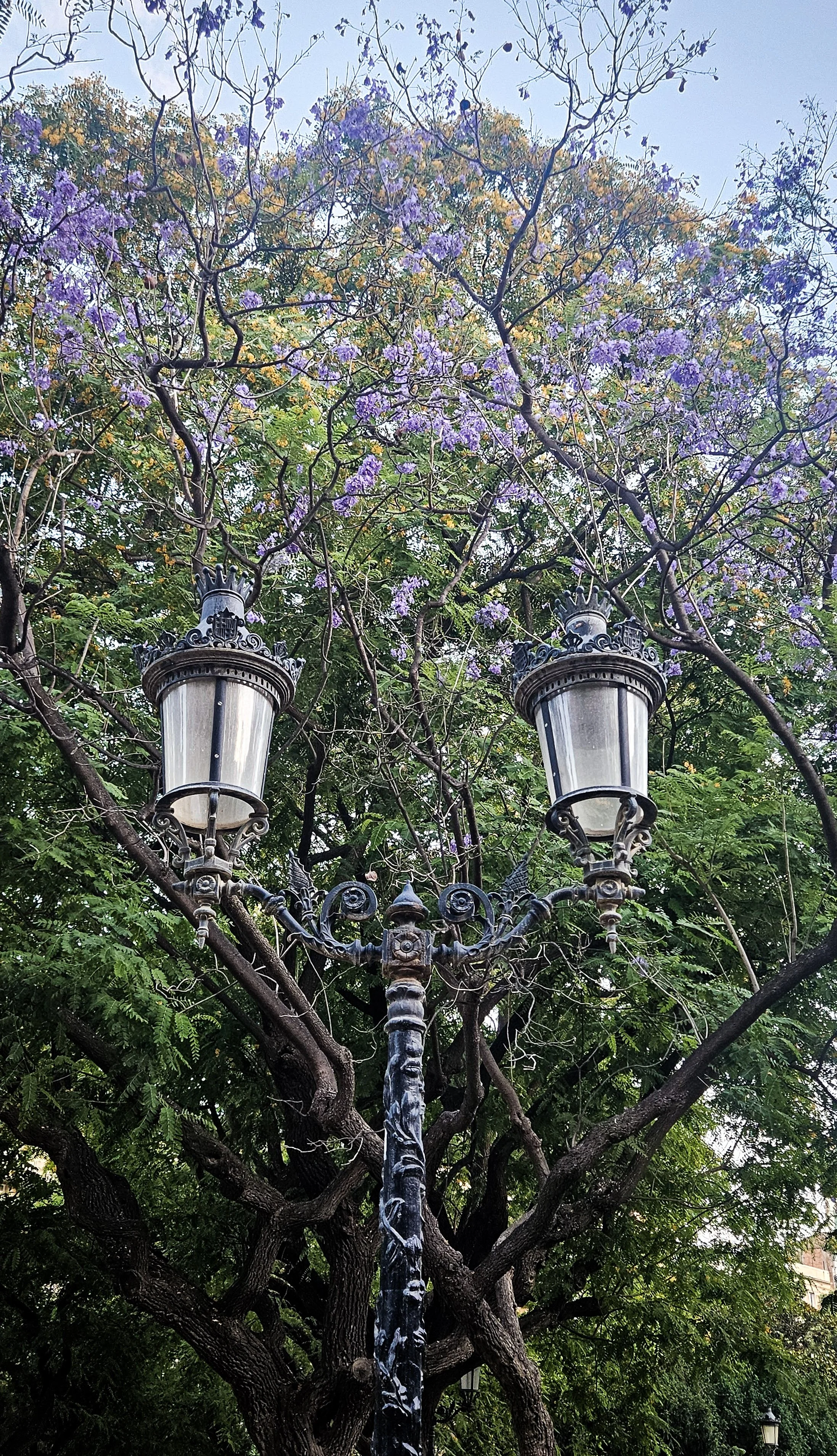 5x7 Matted Print - Streetlamp near Sagrada Familia