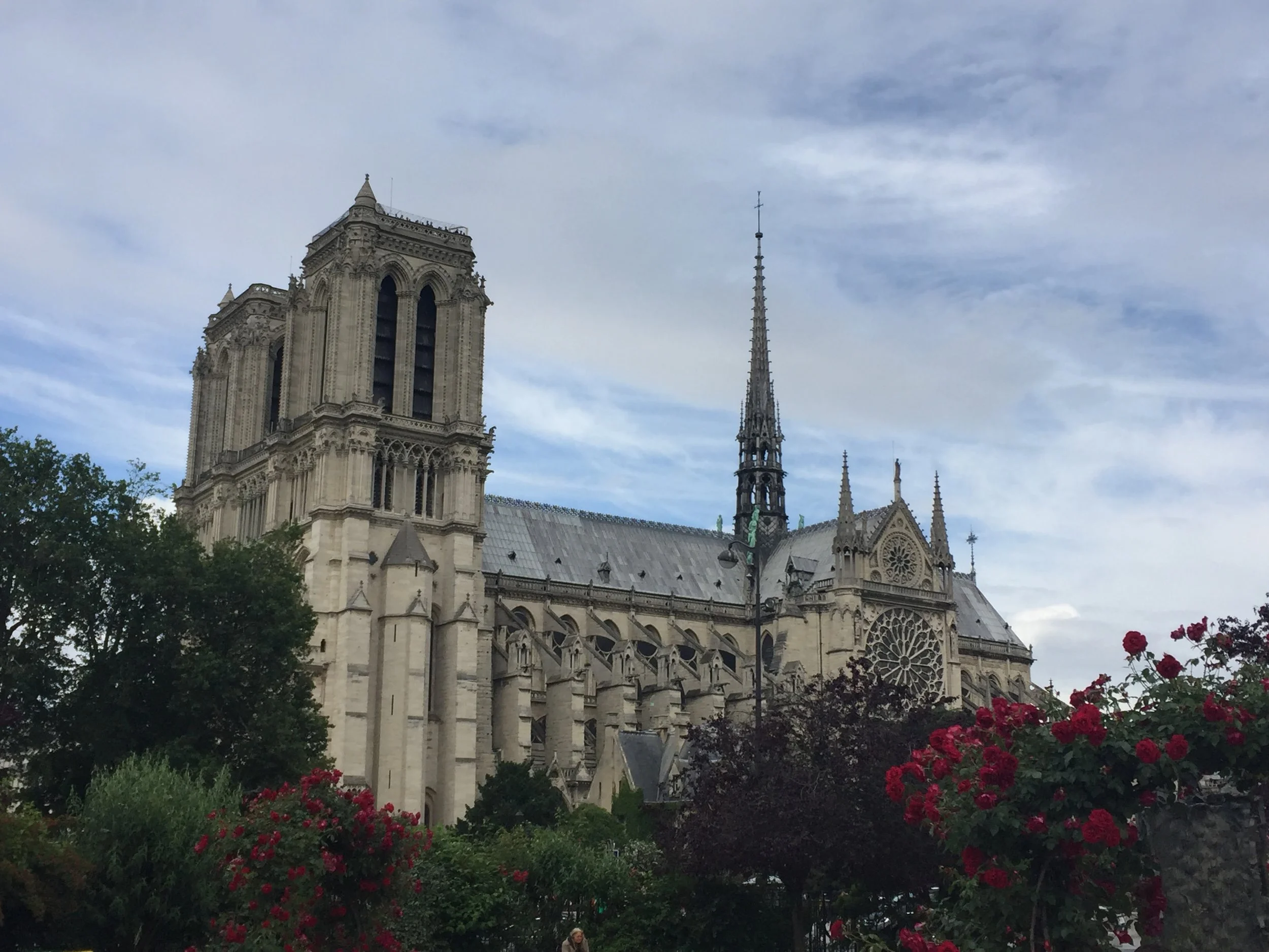 View of Notre-Dame Cathedral Paris with a cloudy sky, lush green trees, and pink flowers in the foreground.