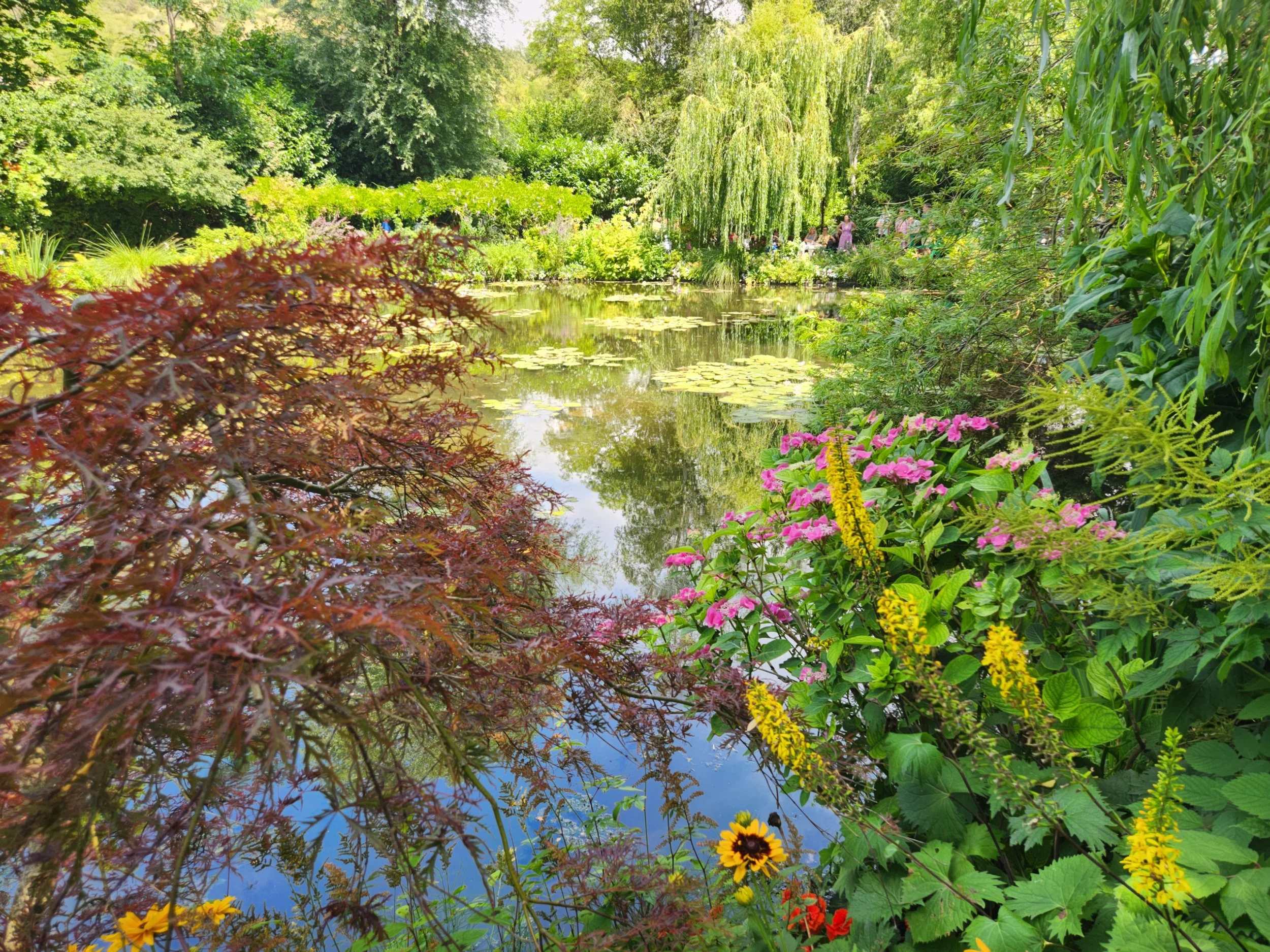 A peaceful pond surrounded by lush green trees, colorful flowers, and pink water lilies, with visitors walking along a path.