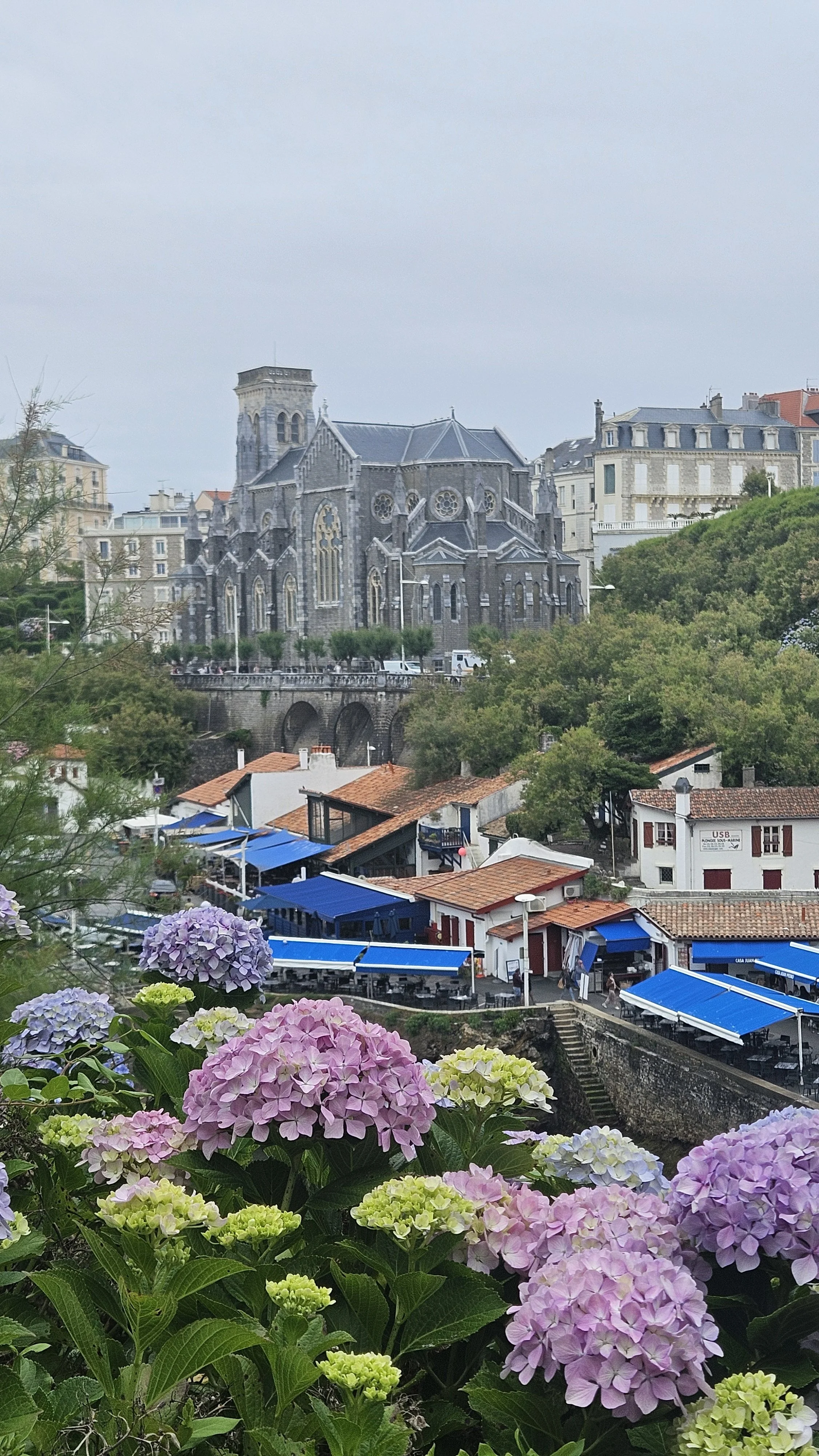 Church with Gothic architecture on a hillside, surrounded by trees, with colorful hydrangea flowers in the foreground and a marketplace with blue canopies at the bottom.