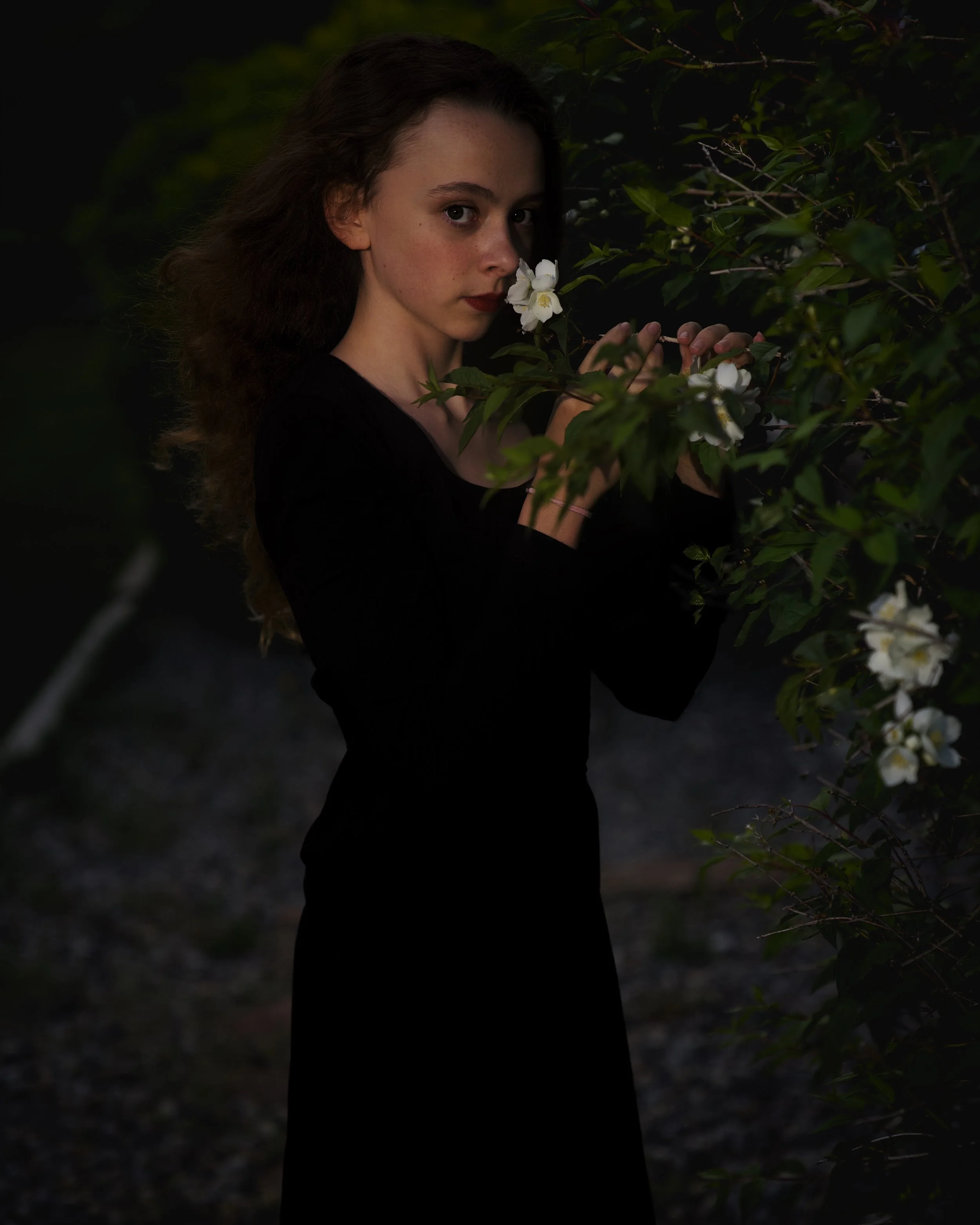 Flower of Light