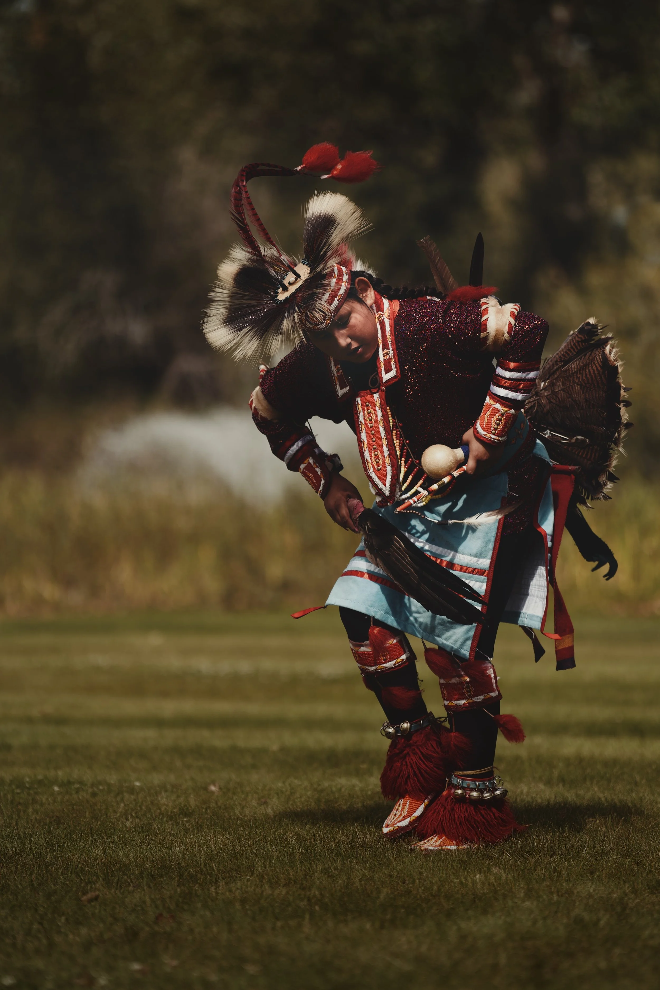 Chicken Dance.jpg