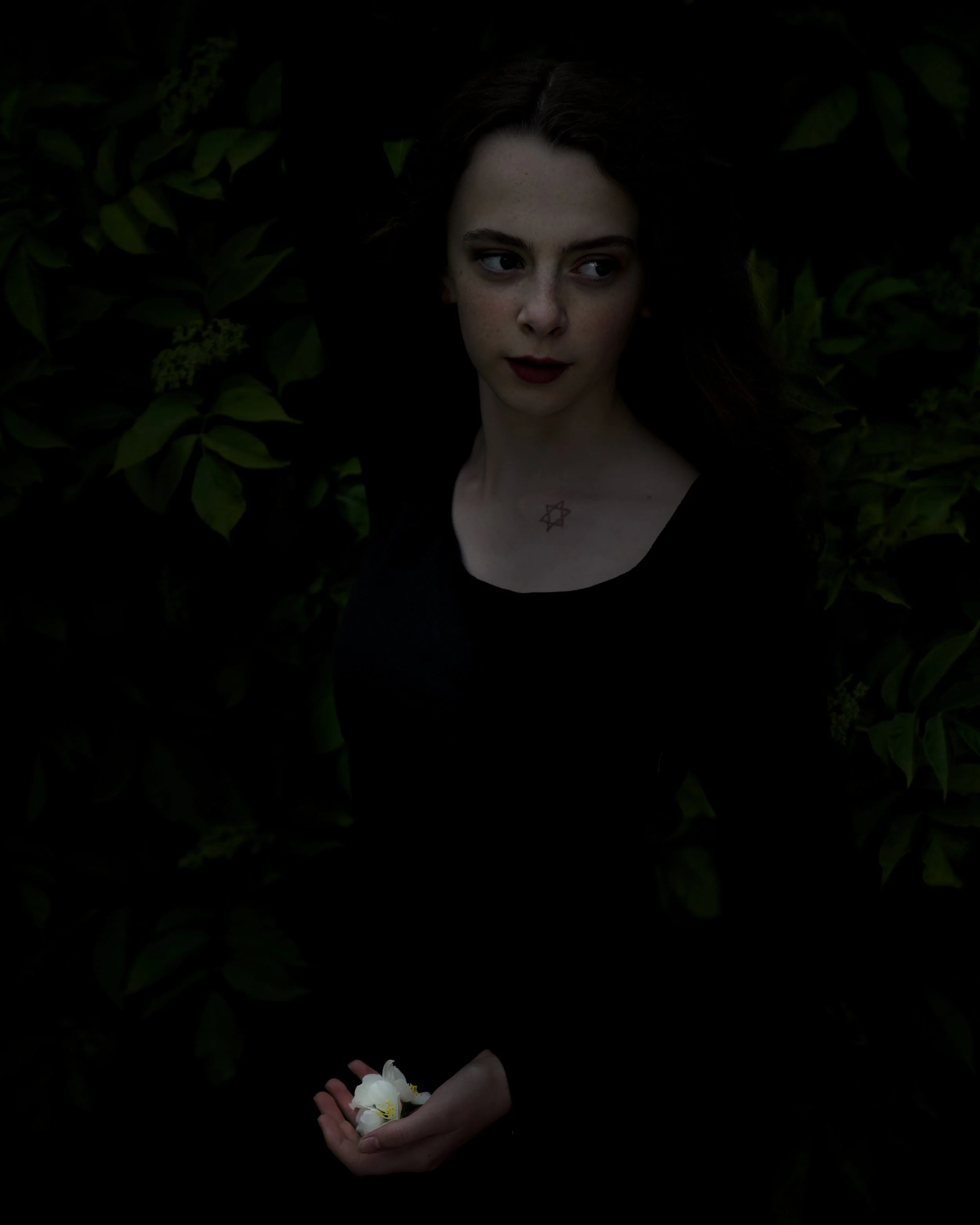 Flower of Light.jpg