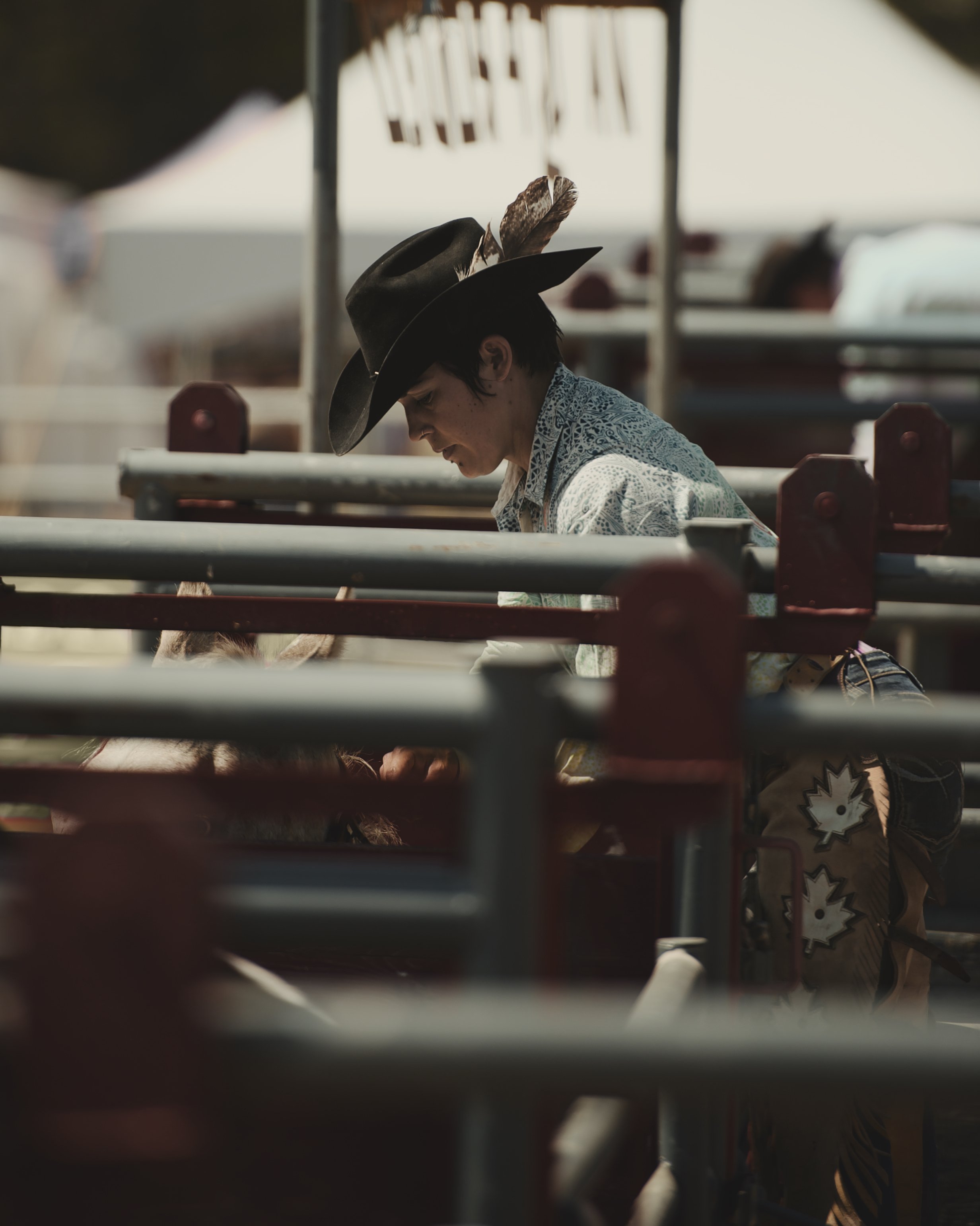 CEJ Prepping Bronc.jpg