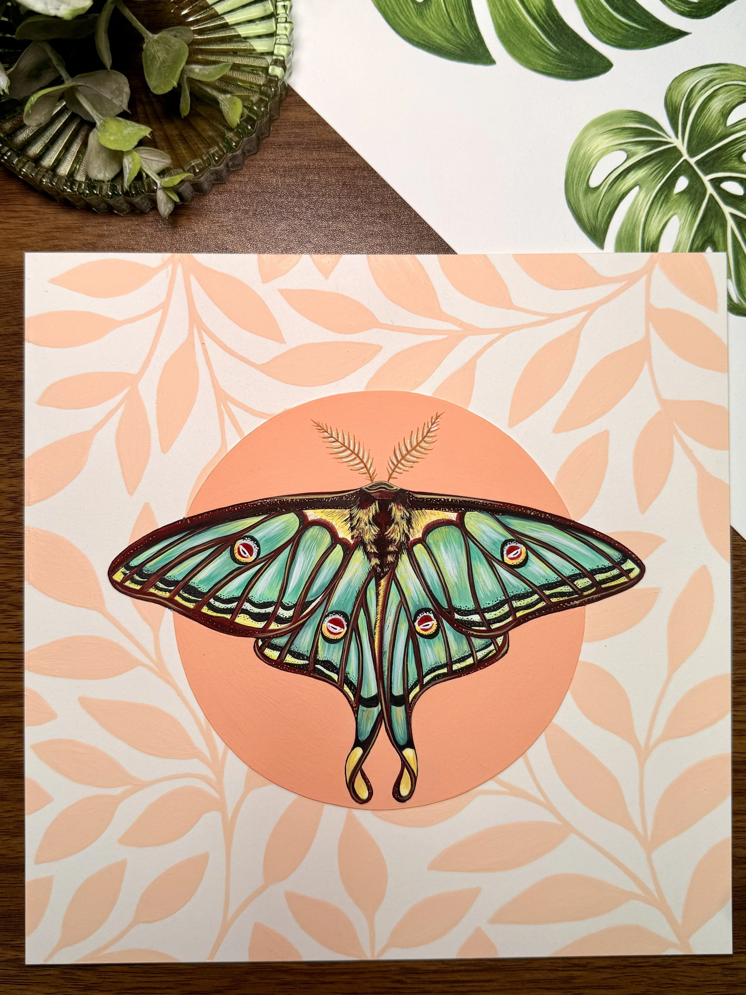 Spanish Moon Moth | Original Painting