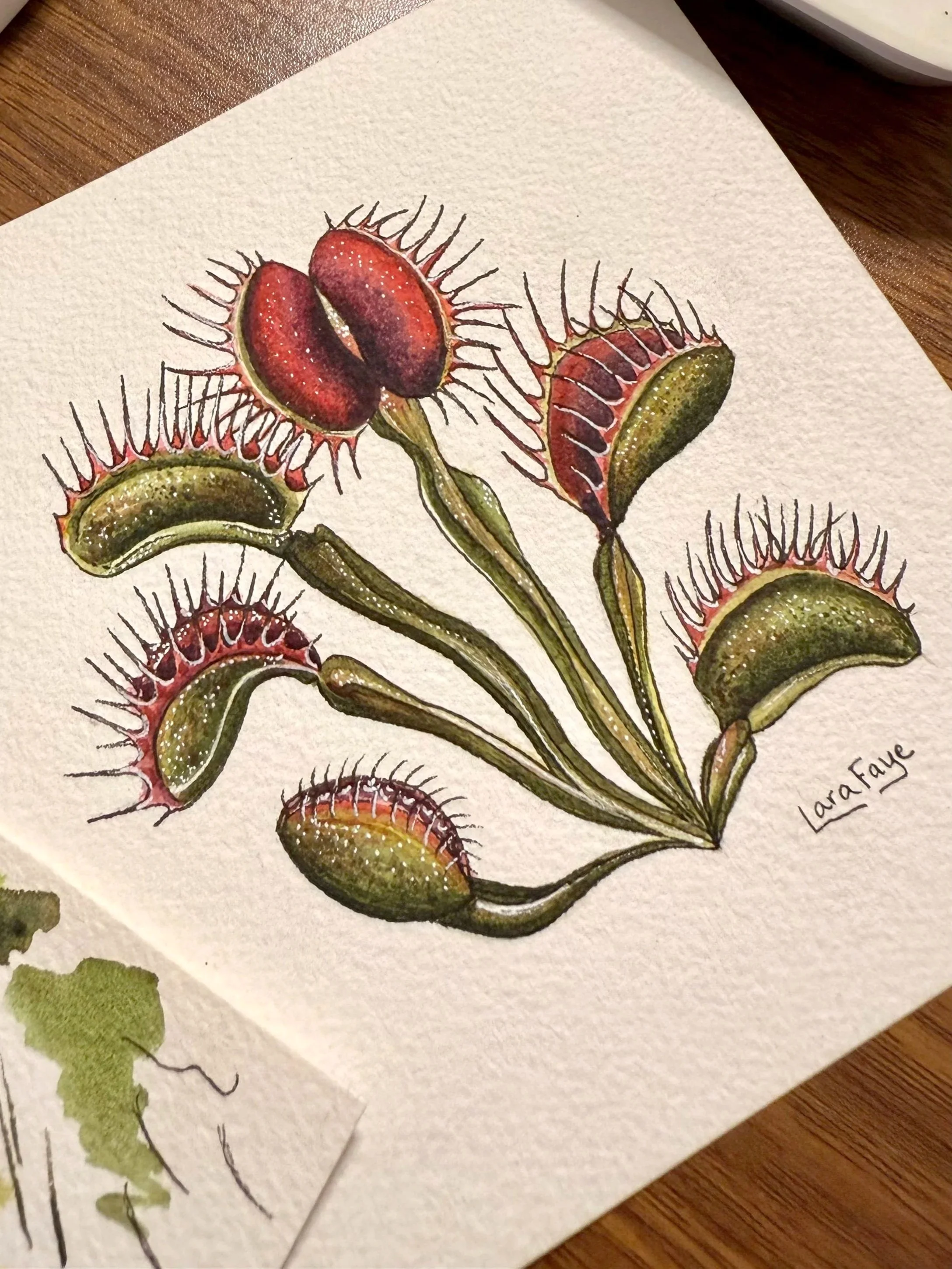 Venus Fly Trap | Original Painting