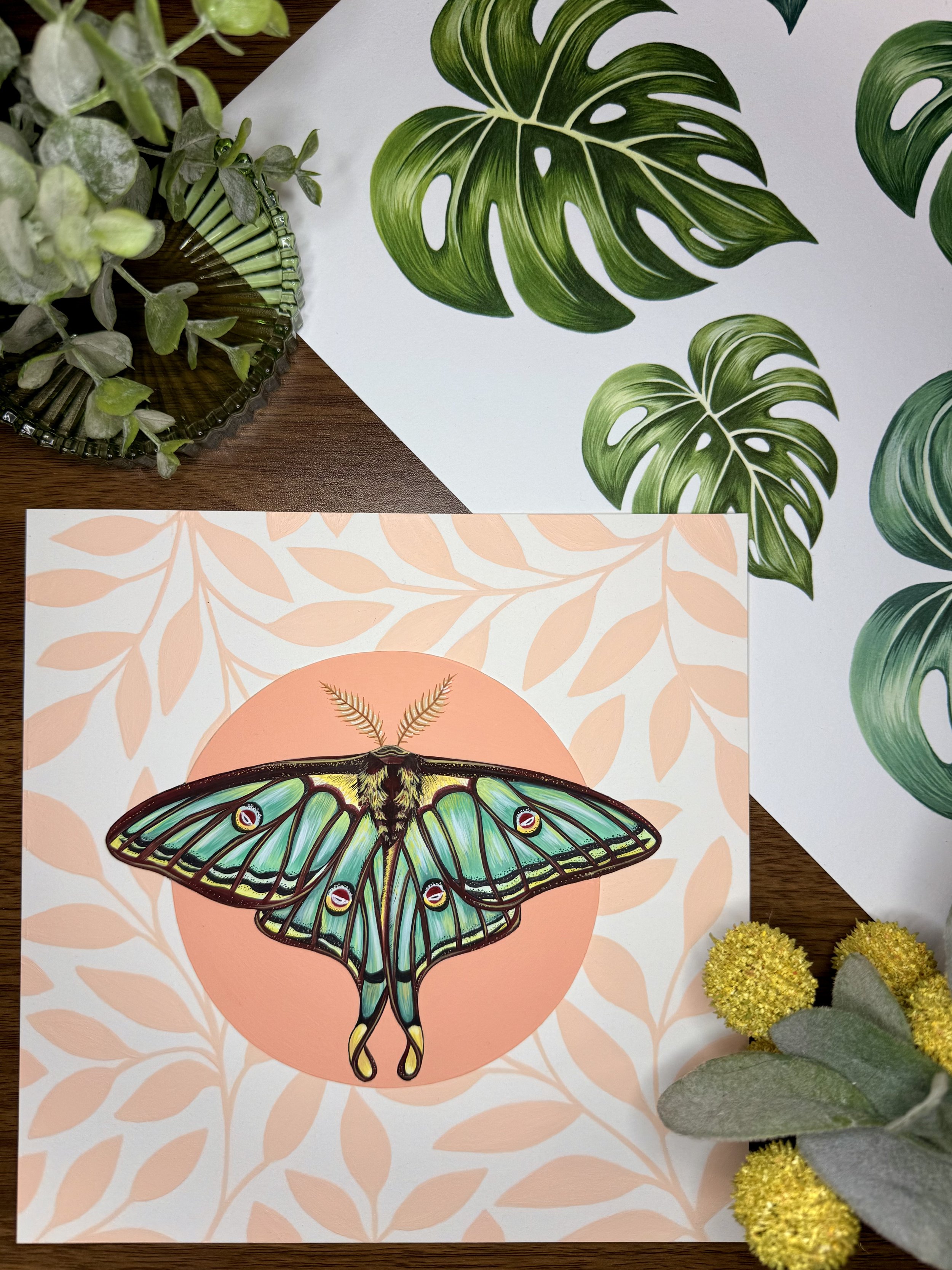 Spanish Moon Moth 4.jpg