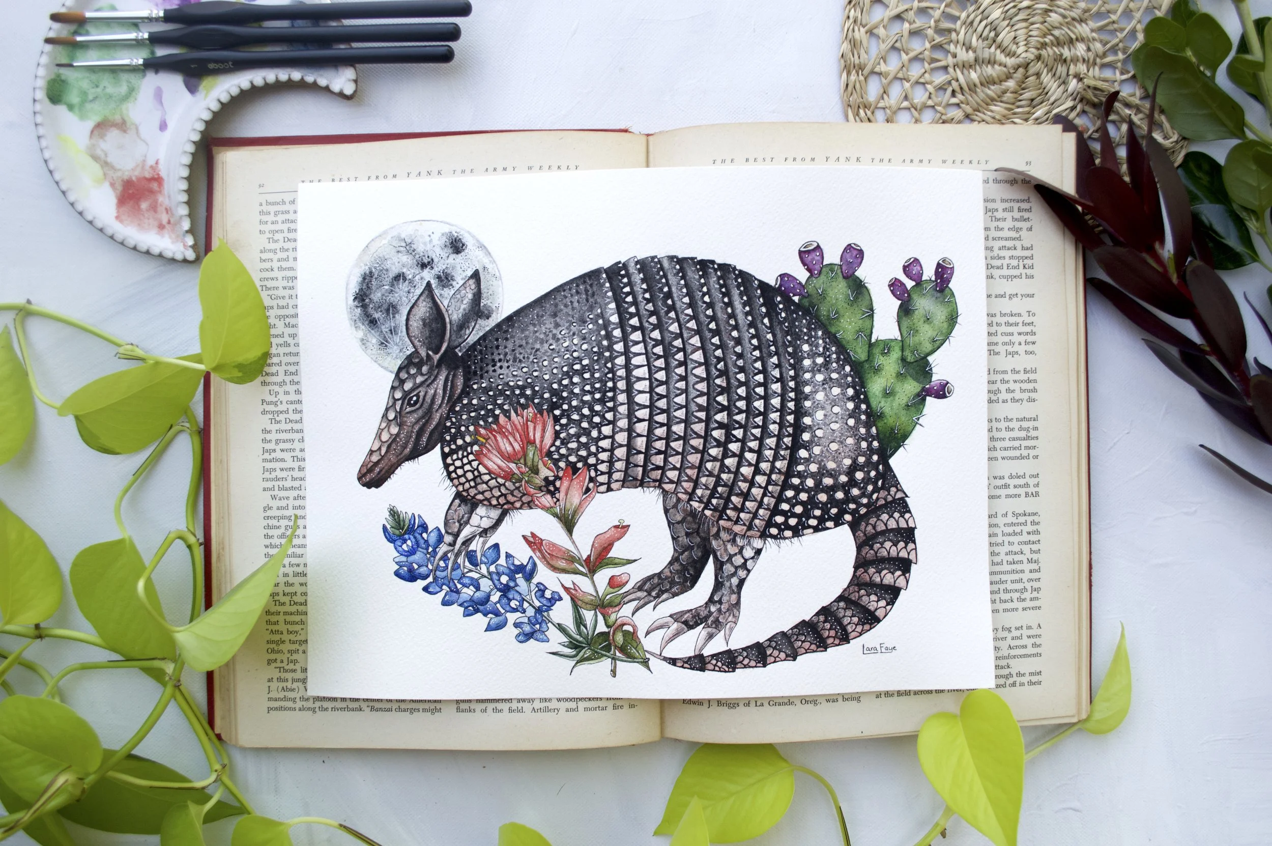 Texas Armadillo | Standard Print