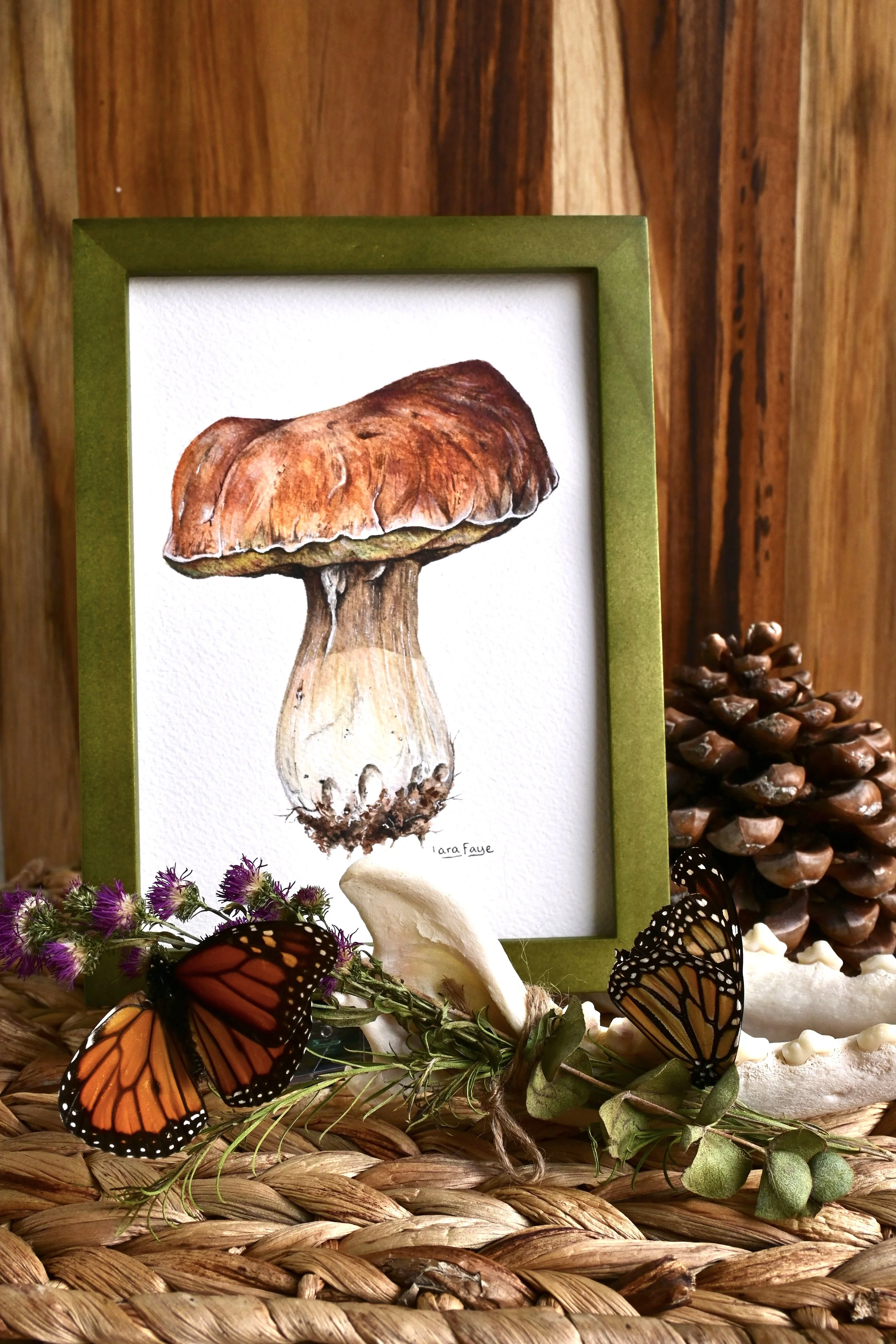 King Bolete 2.jpeg