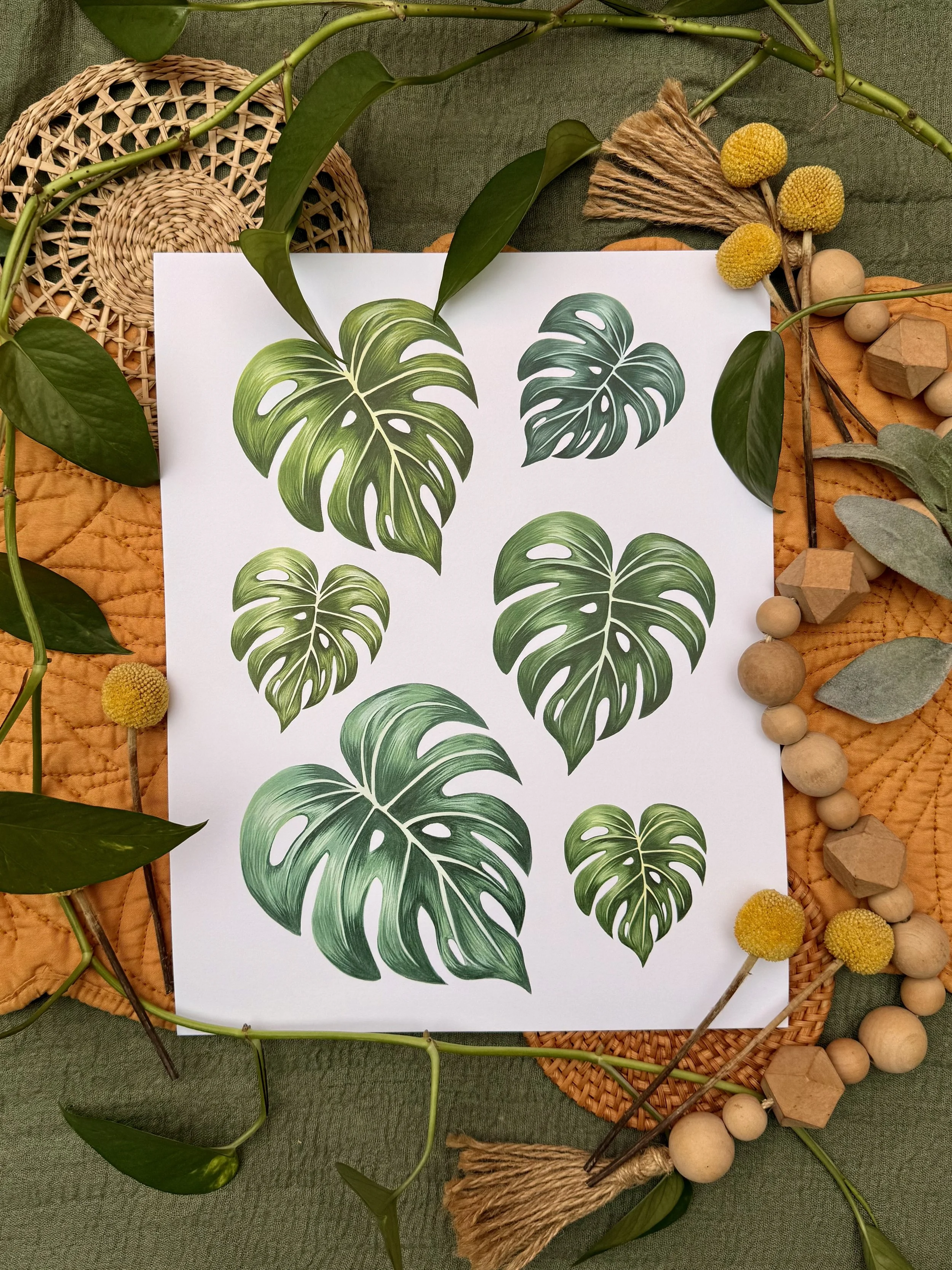 Tropical Monsteras | Standard Print