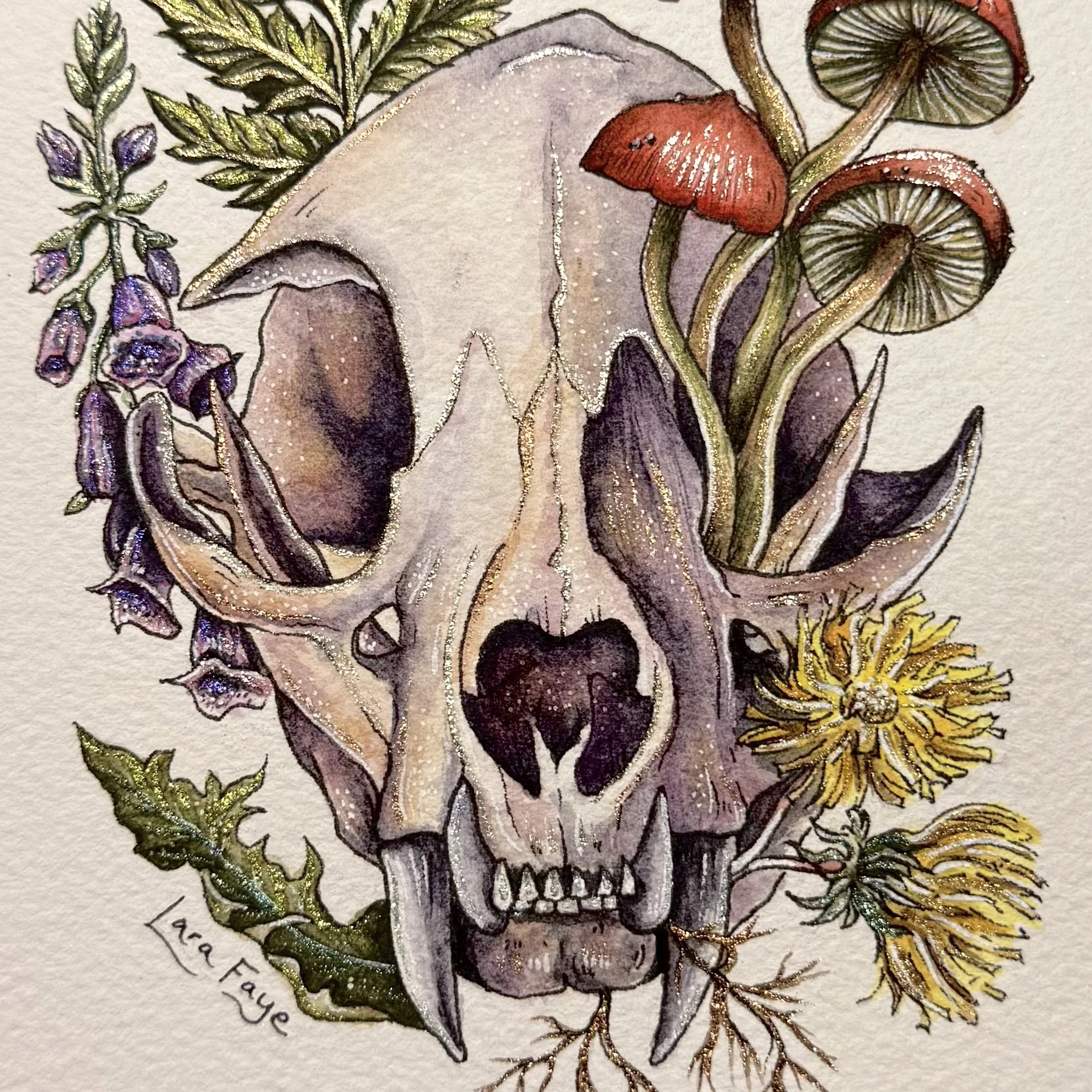 Forest Cat Skull III (4).jpg
