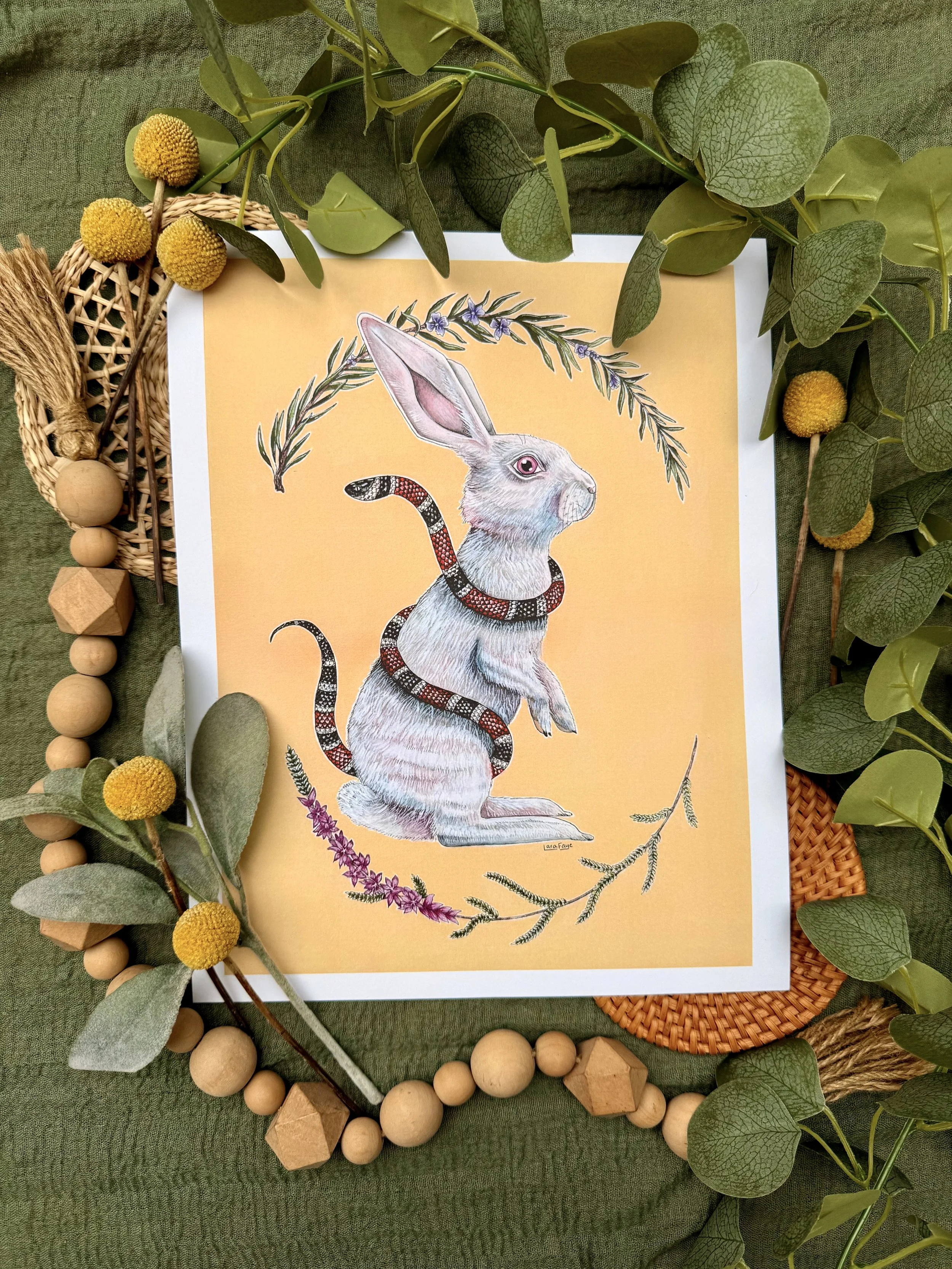 Transformation | Standard Print