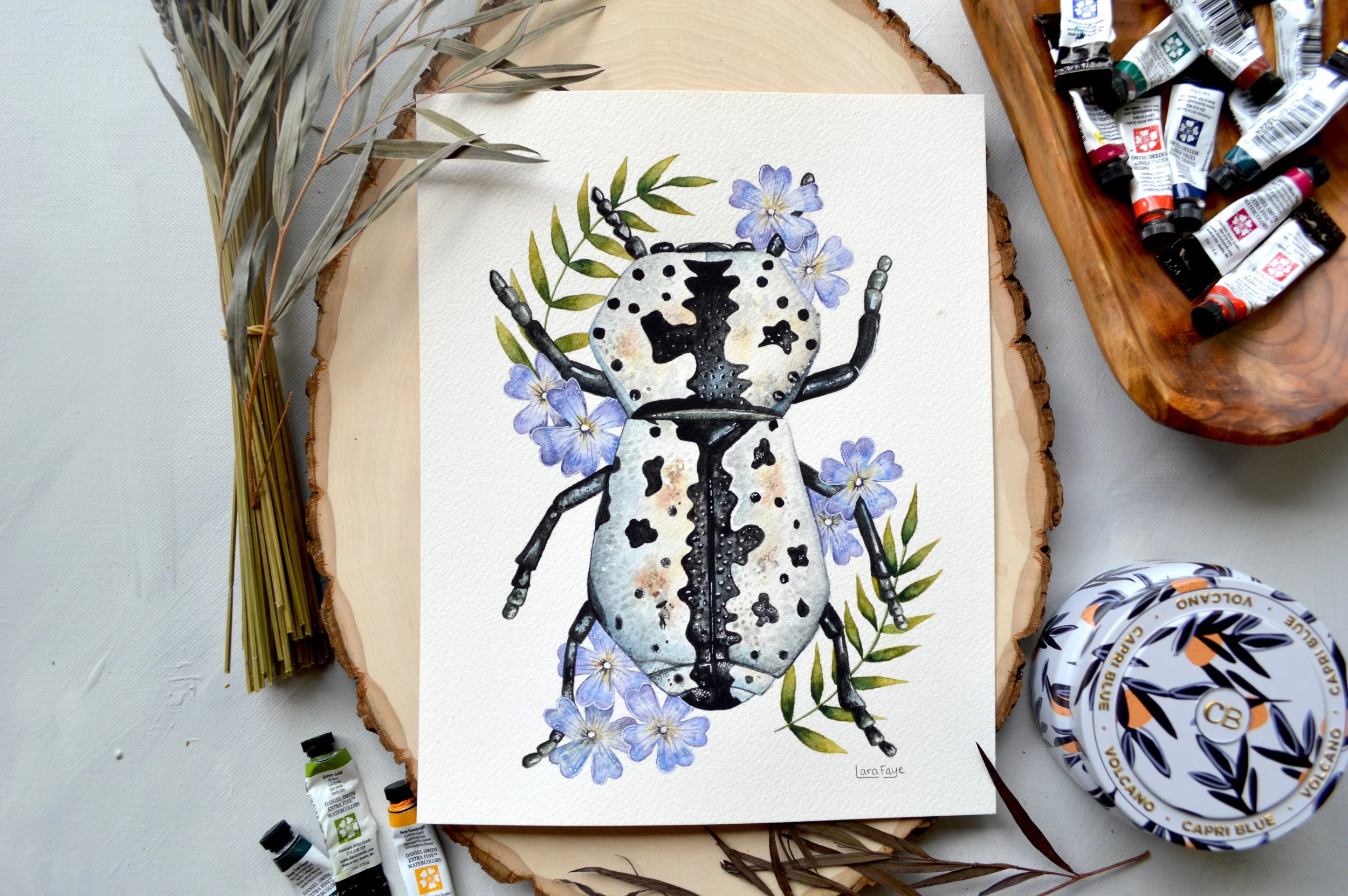 Texas Ironclad Beetle | Original Painting