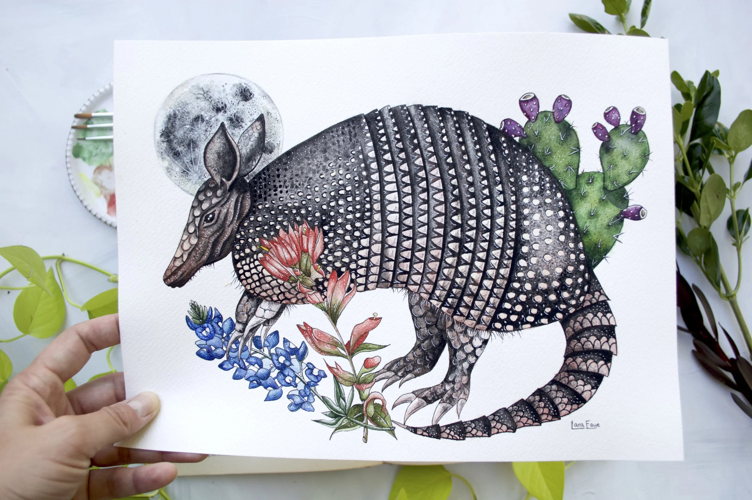 Armadillo 2.jpg