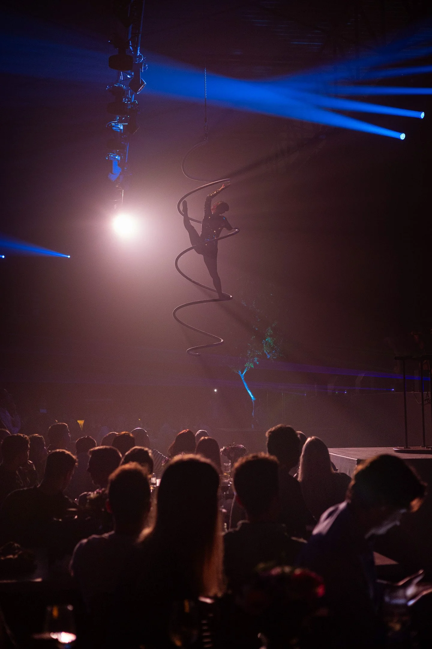 Event photographer, Belgium