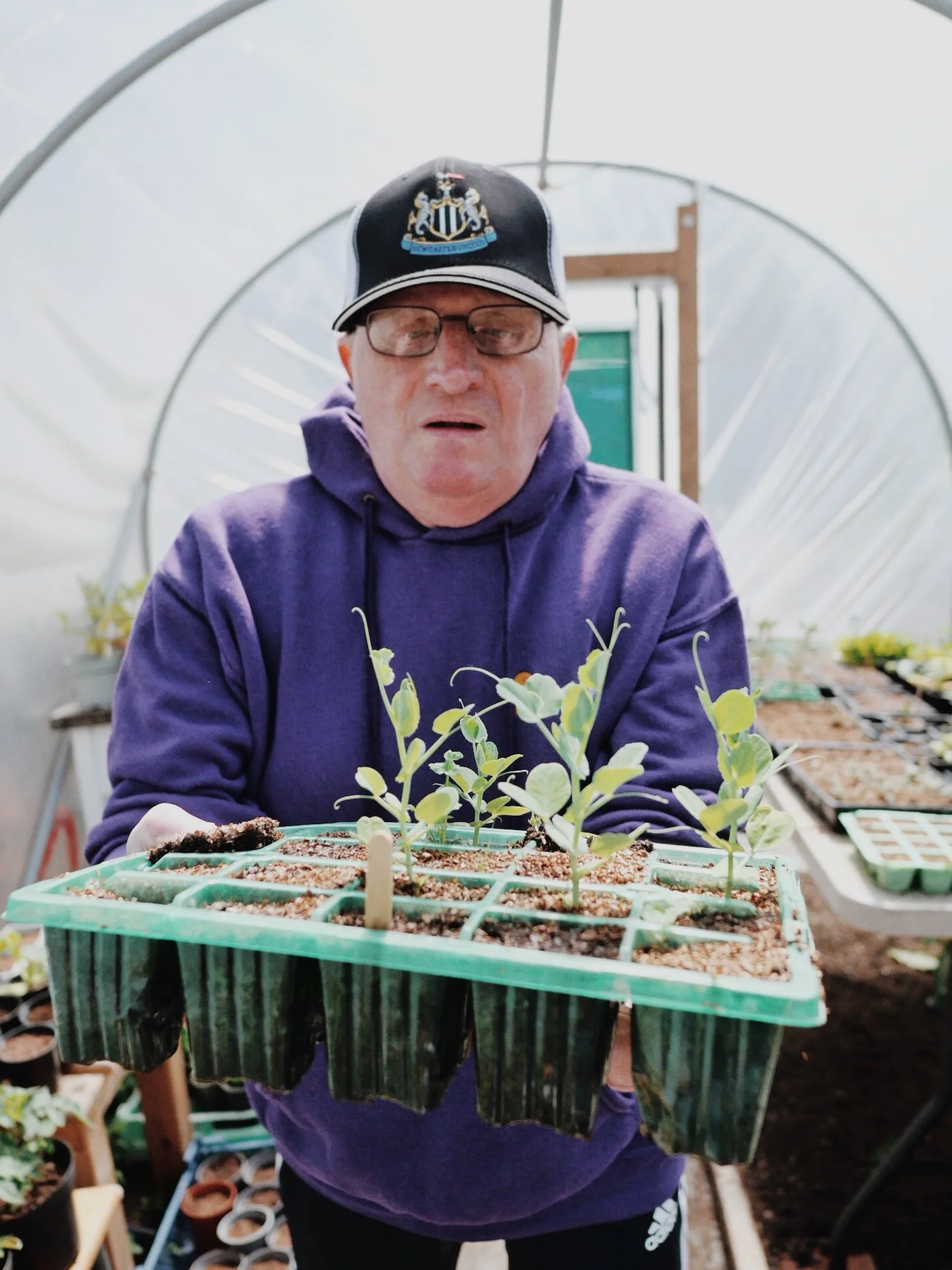 A service user with a learning disability is stood in the Key allotment greenhouse, wearing a Key merchhoodie and glasses, holding a tray of small green seedlings.
