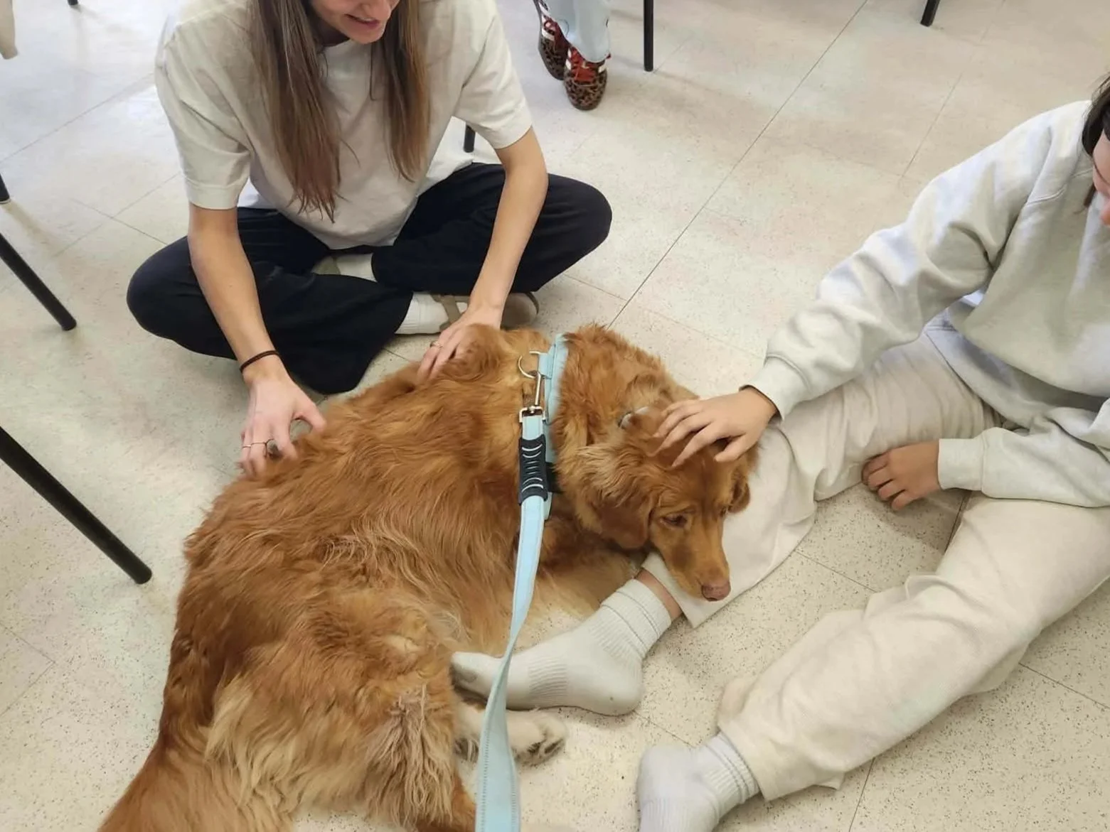 Deux personnes assises au sol caressent un chien retriever de la nouvelle-écosse allongé entre elles.