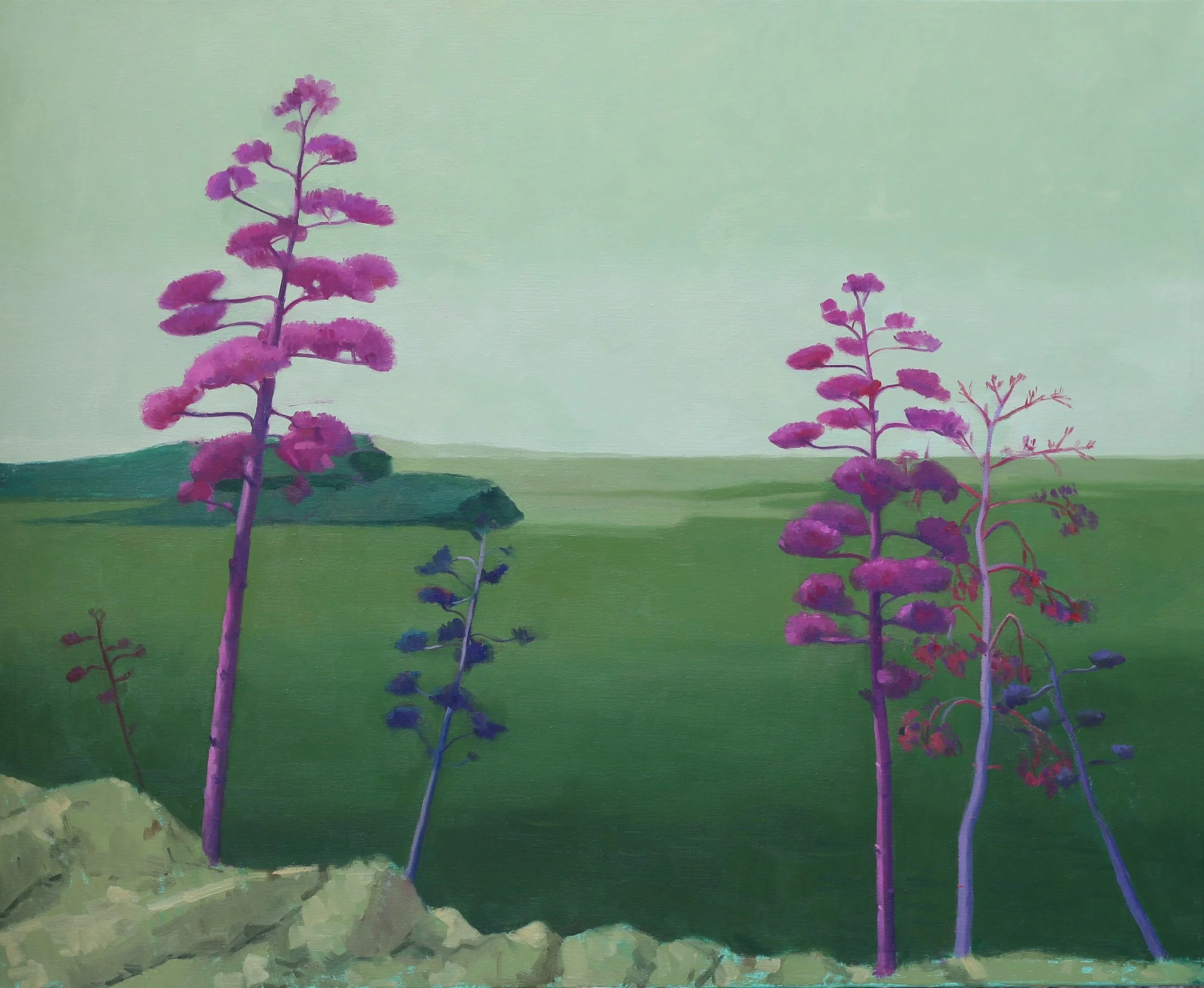 80cm x 100cm oil on canvas