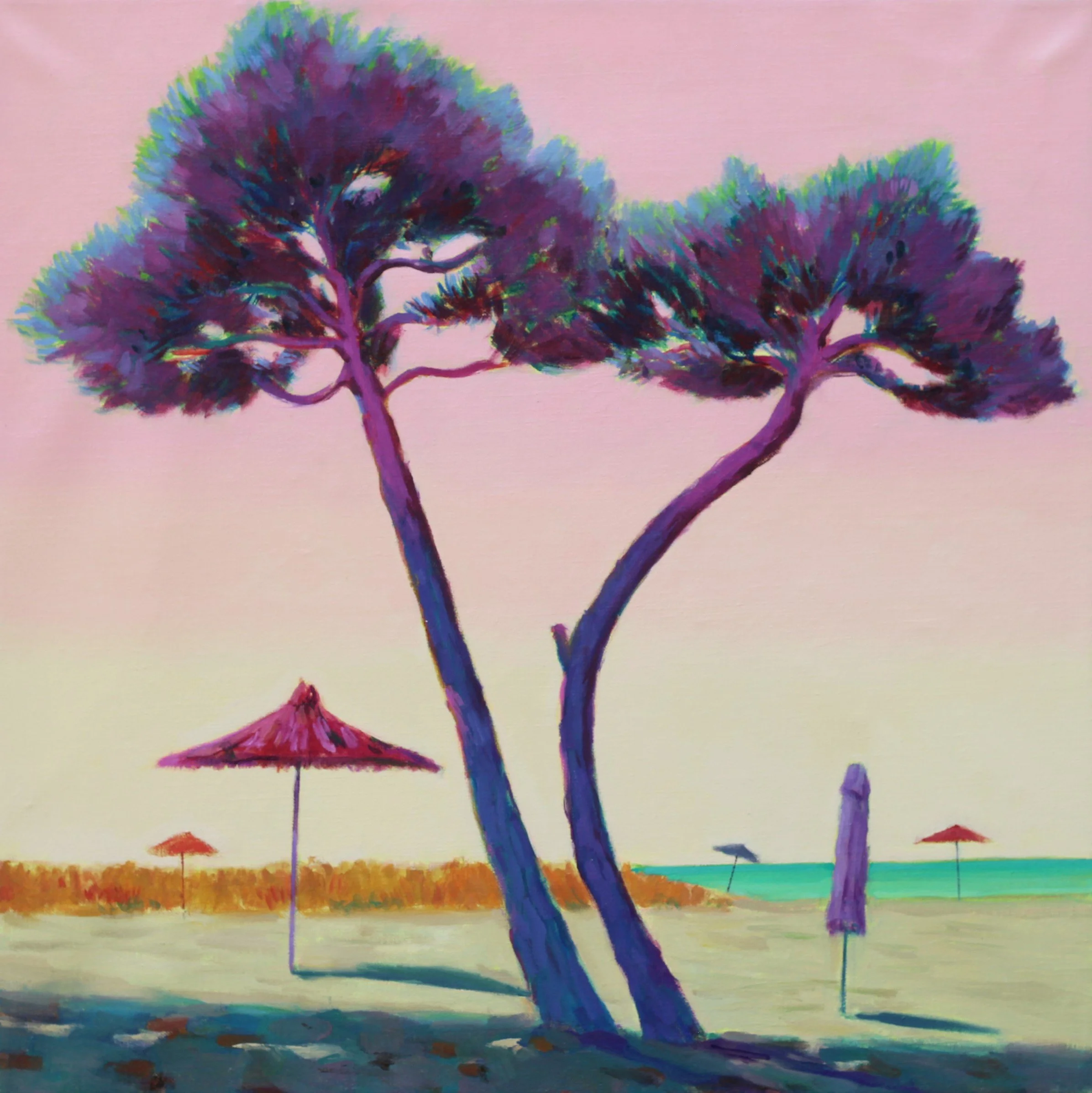 50cm x 50cm oil on canvas