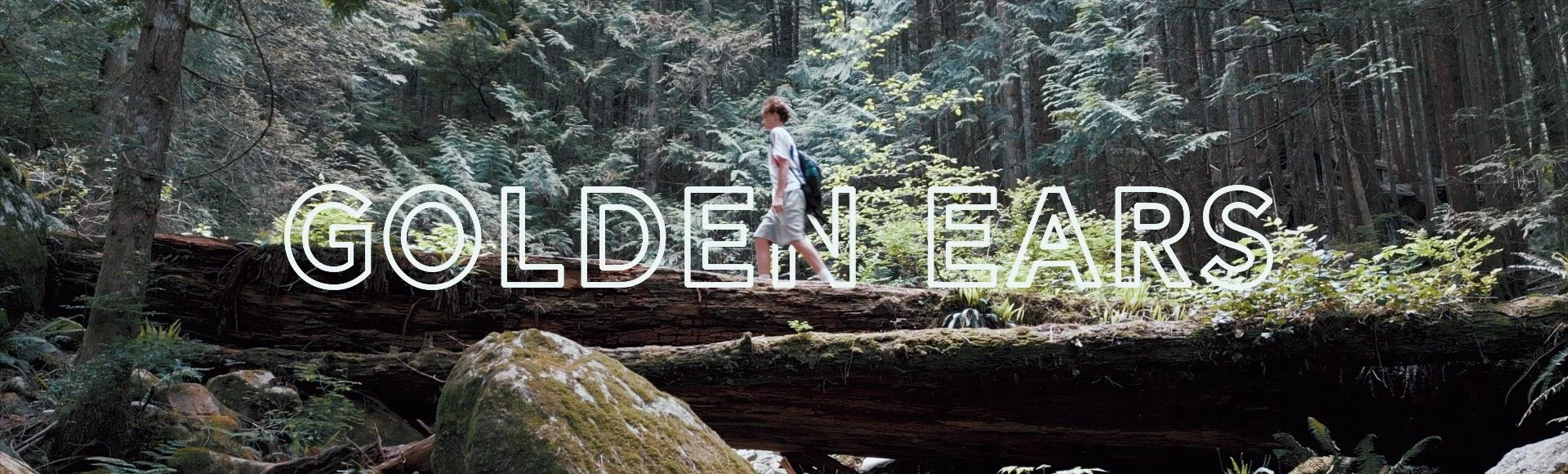 Header Thumbnail - GE.jpg