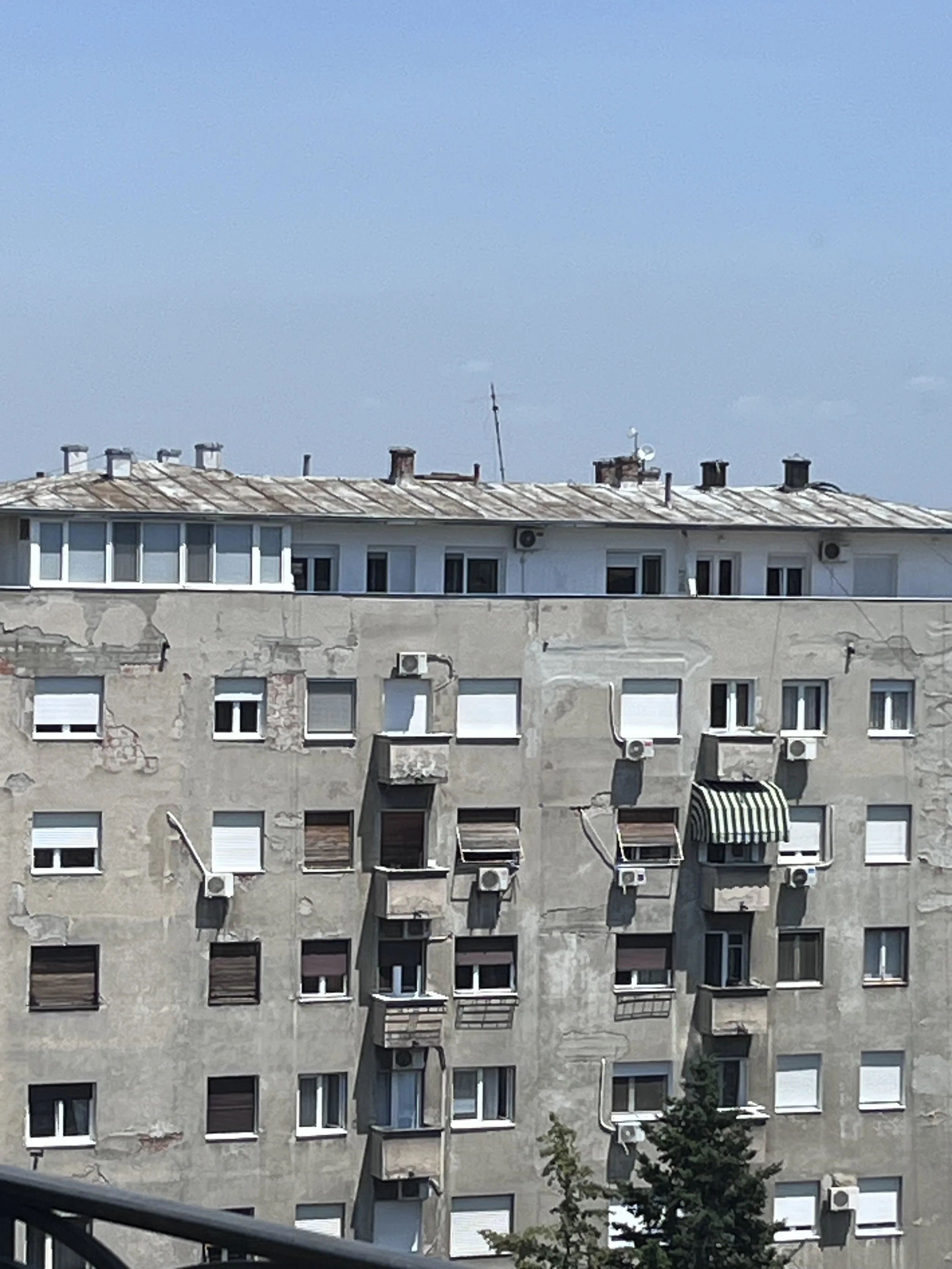IMG_0800.jpeg