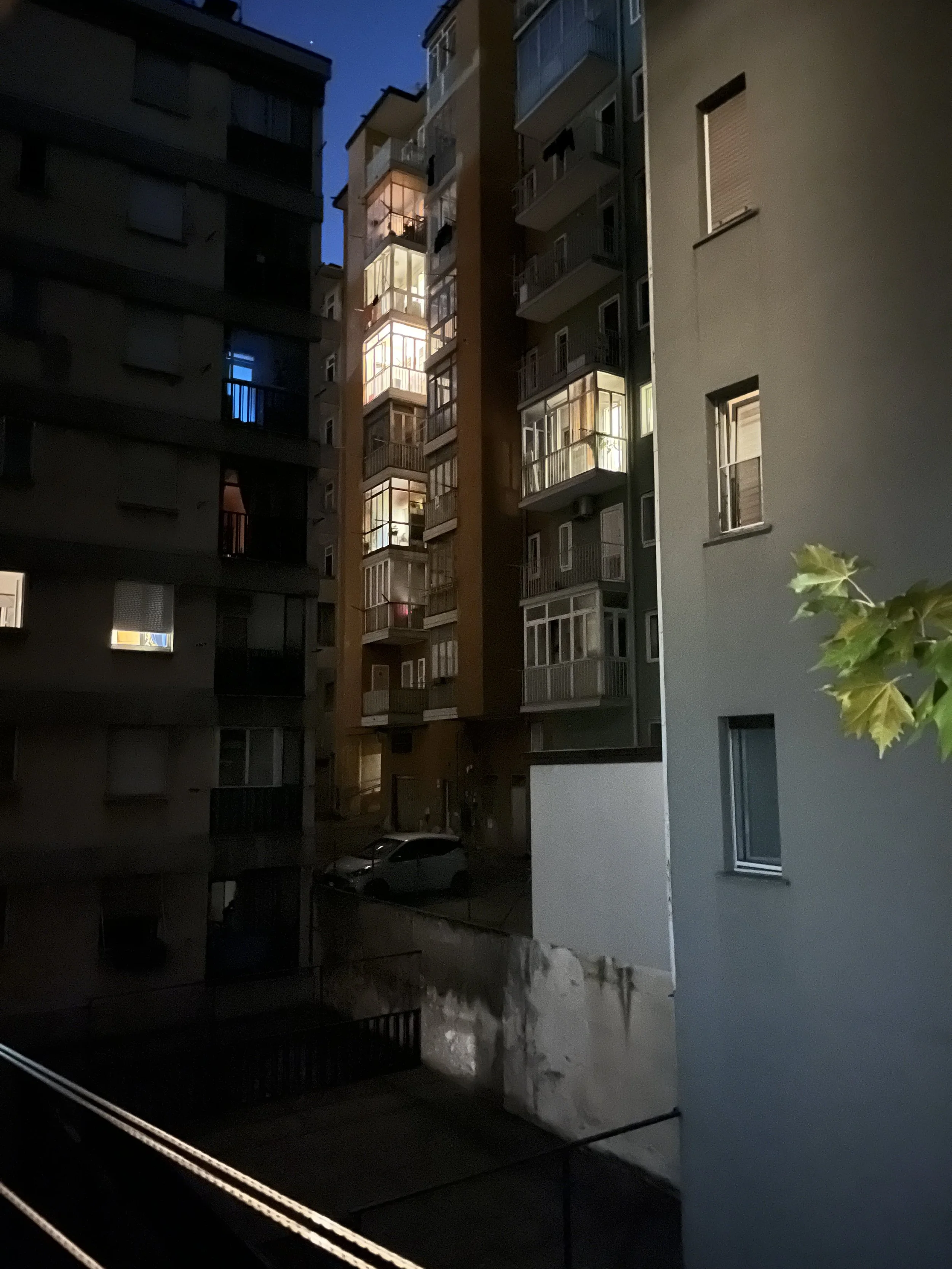 IMG_3033.jpeg