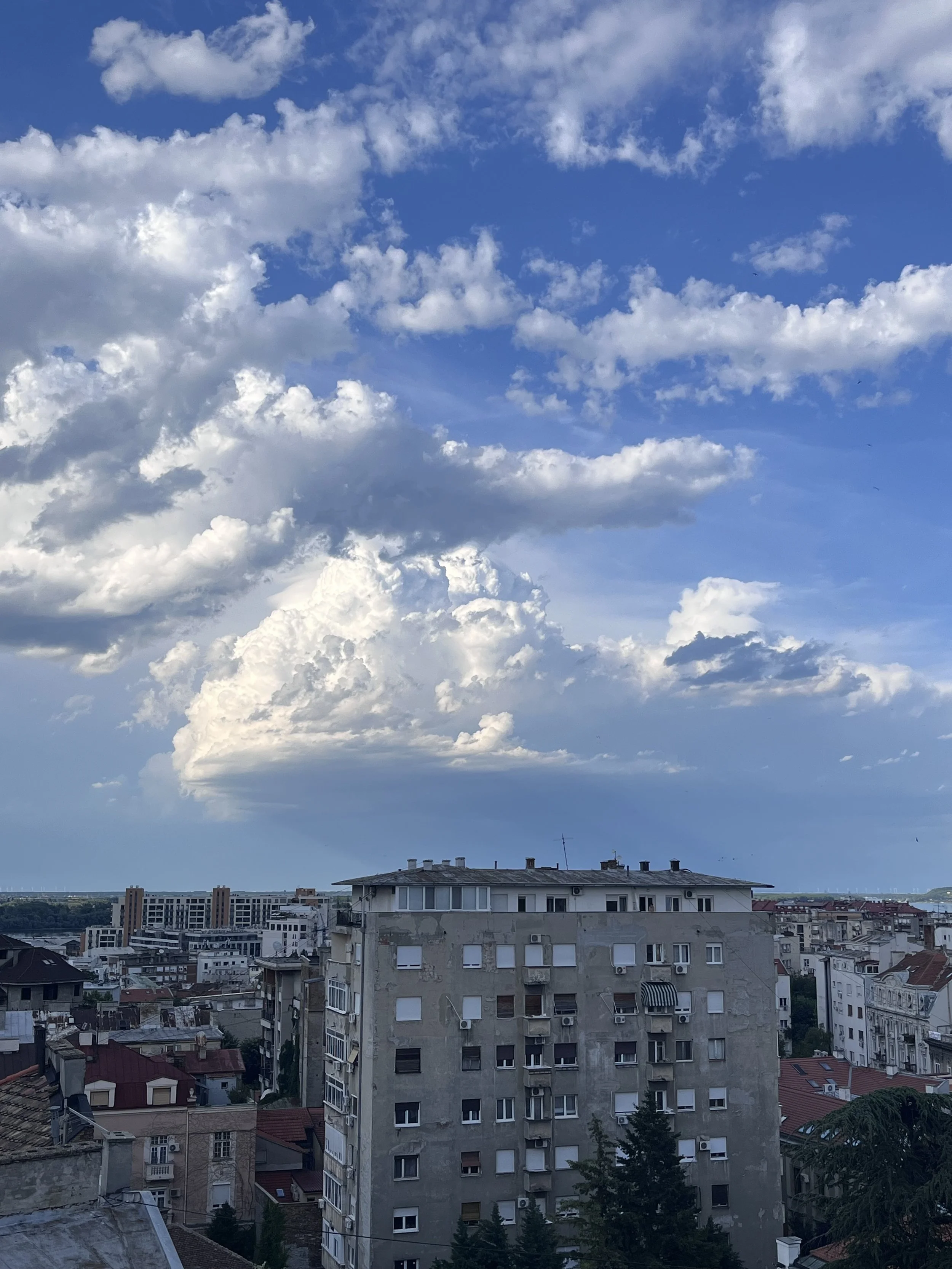 IMG_1029.jpeg