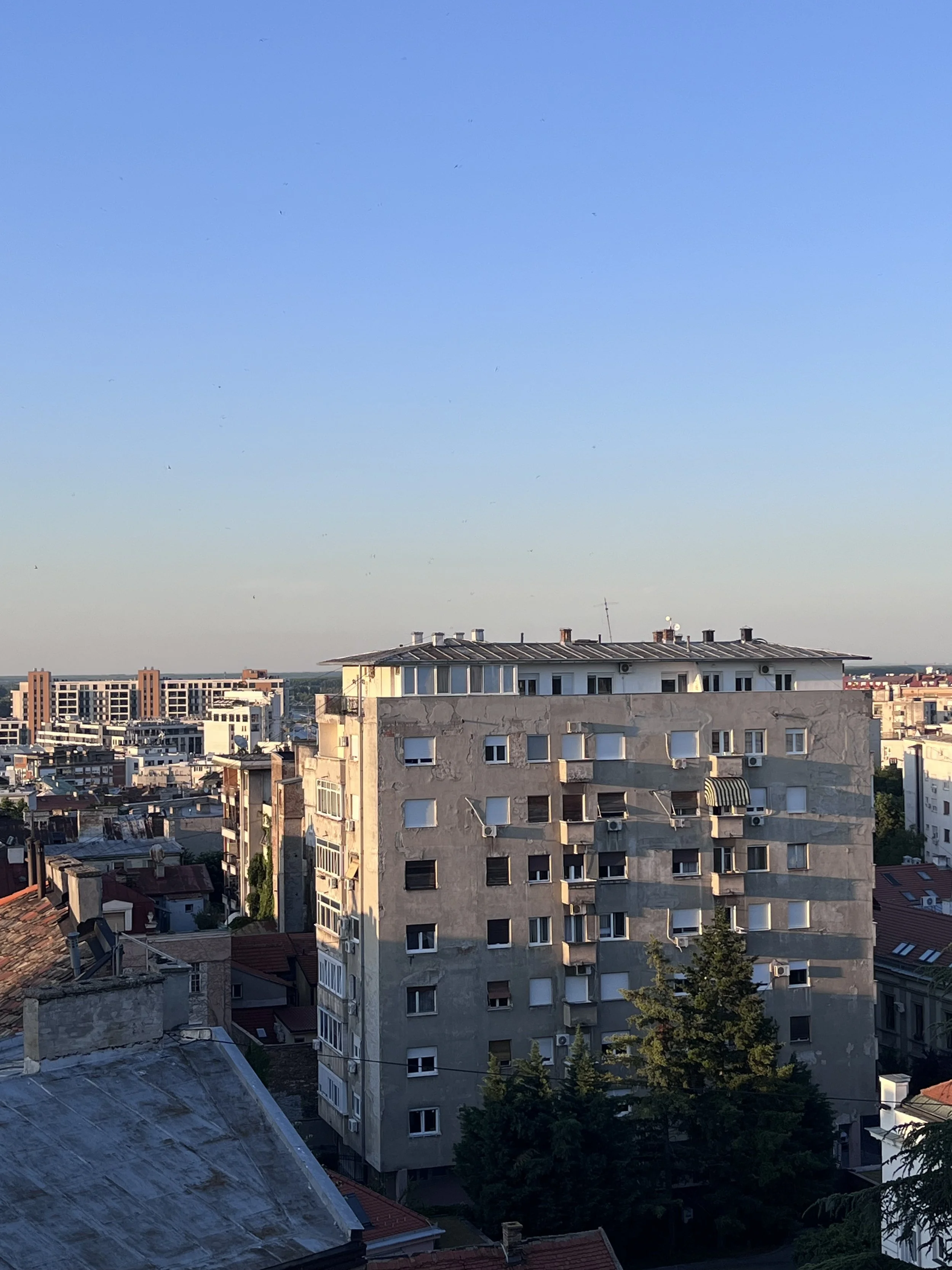 IMG_0711.jpeg