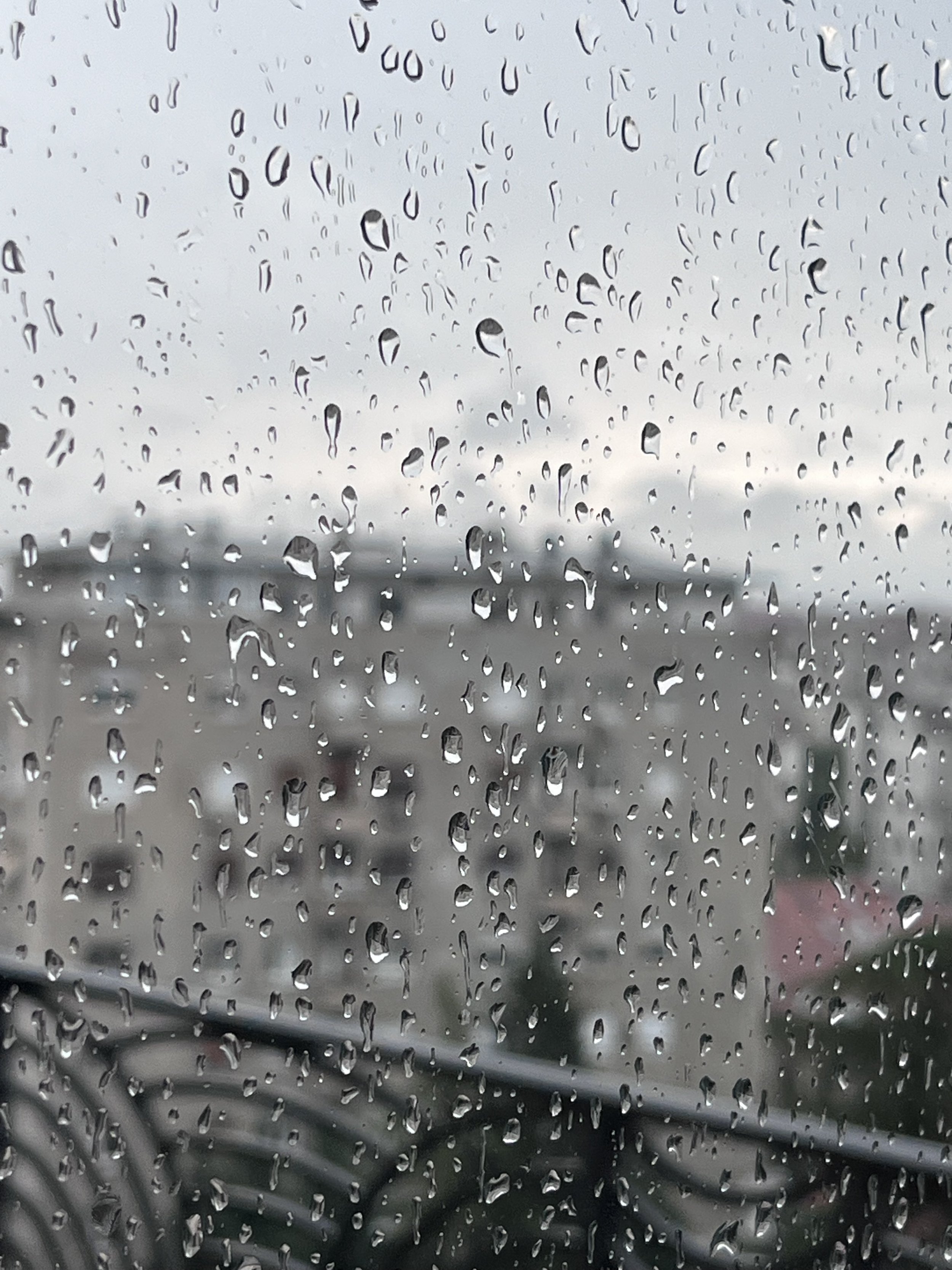 IMG_0840.jpeg