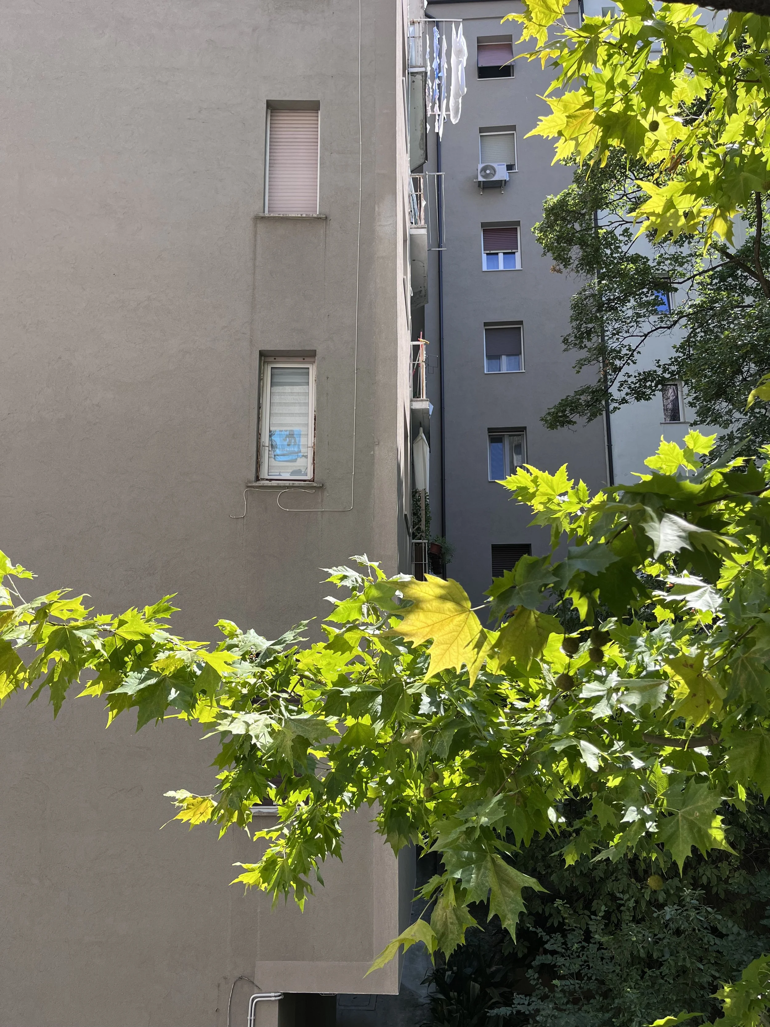 IMG_3234.jpeg