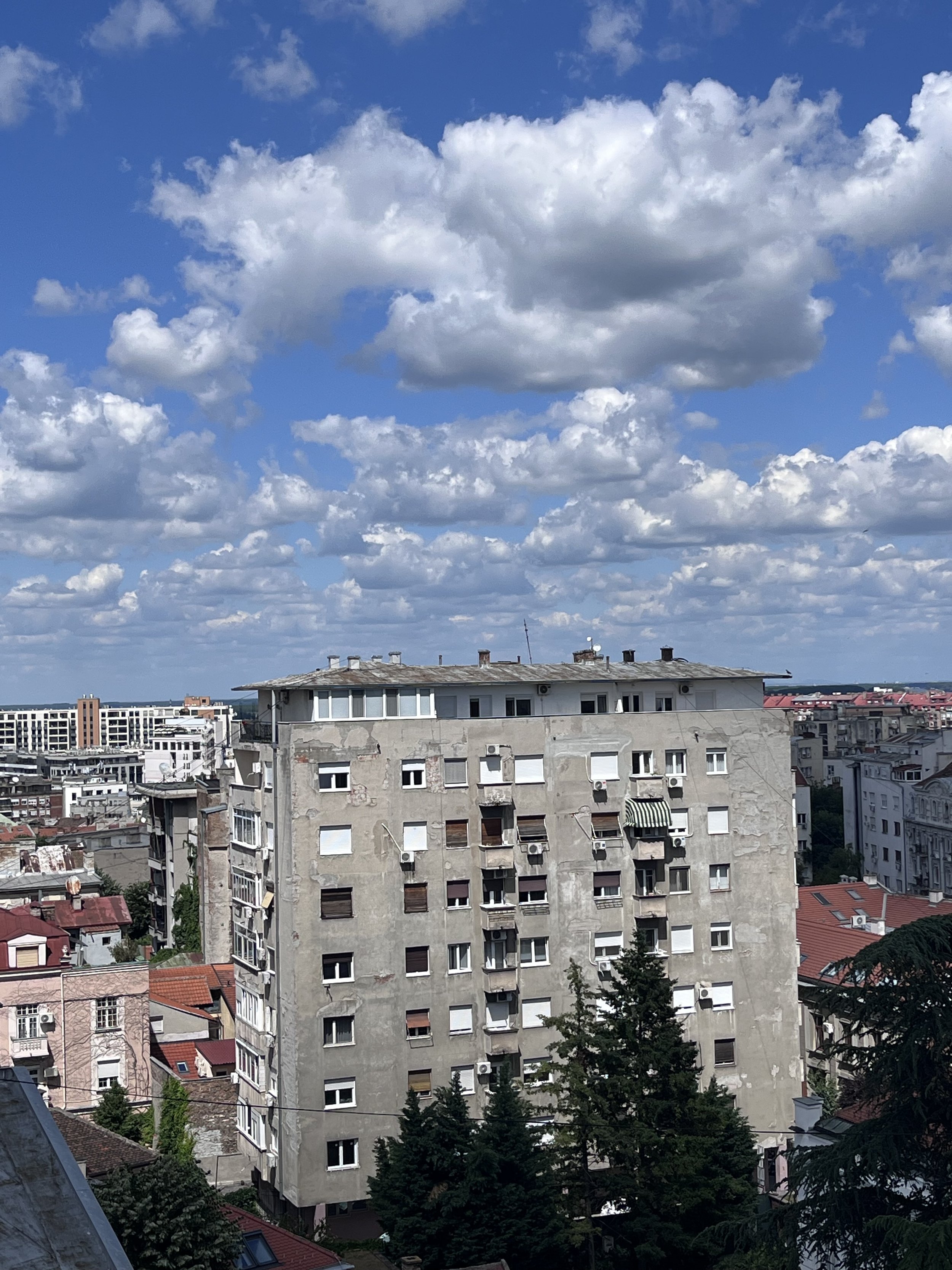 IMG_0881.jpeg